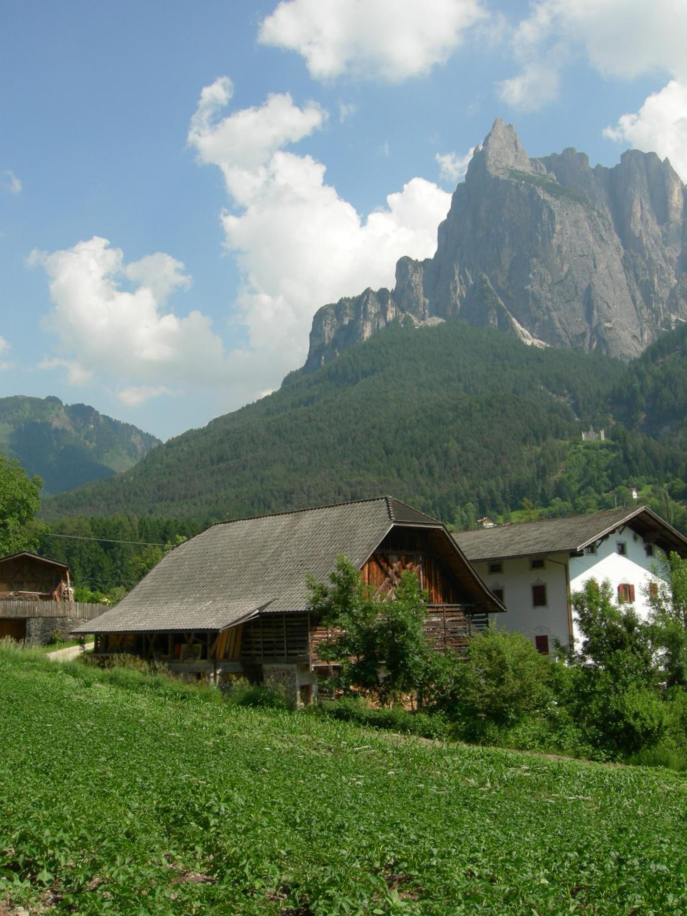 Feldererhof photo 2