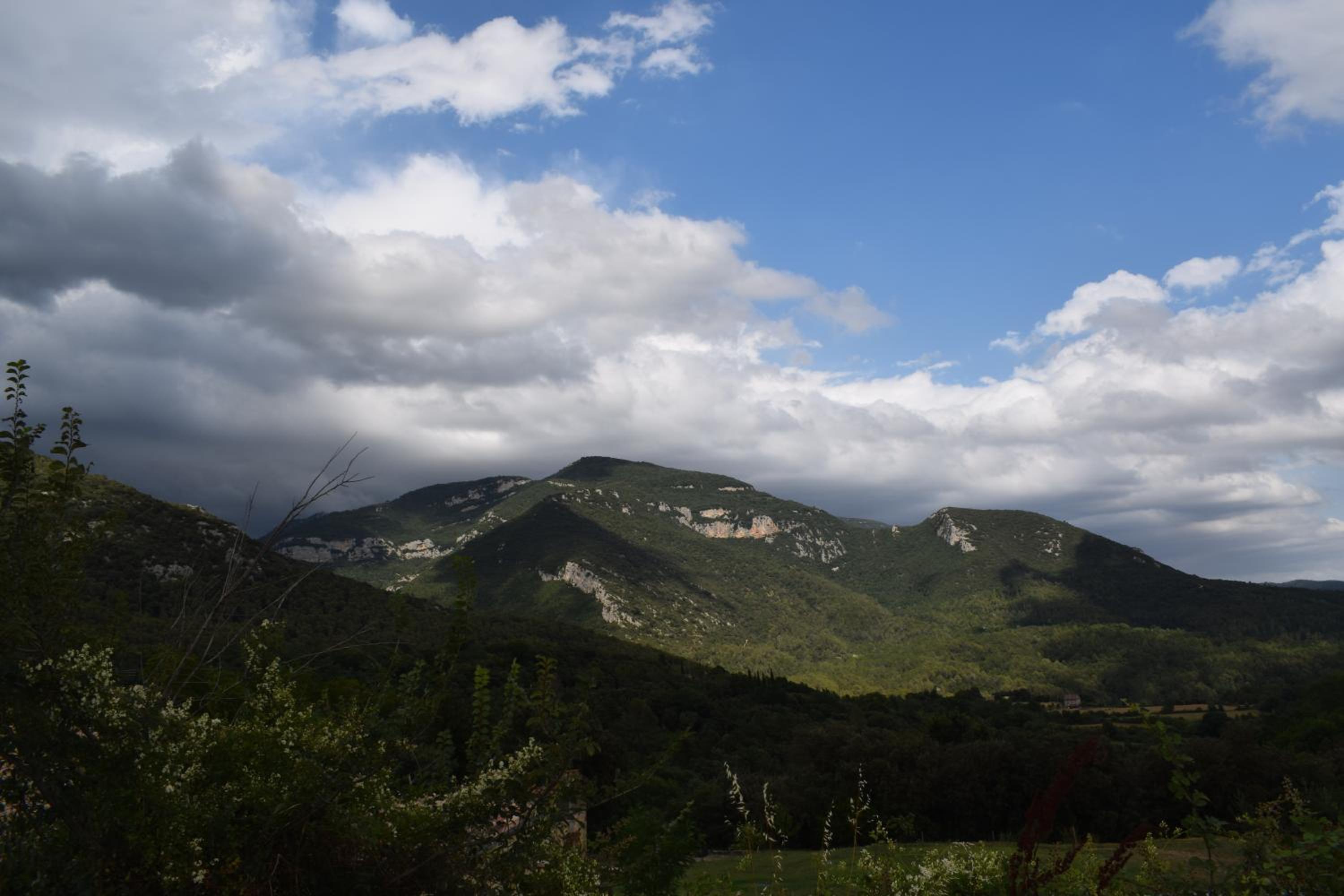 Photo 46