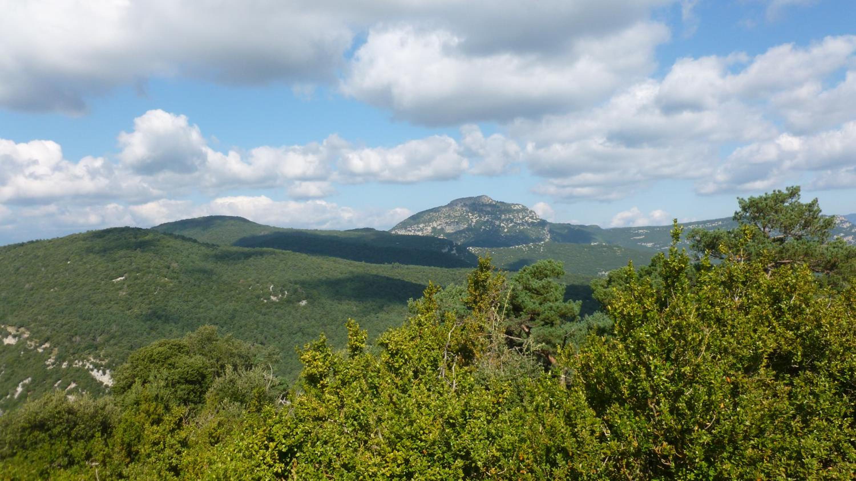 Photo 44