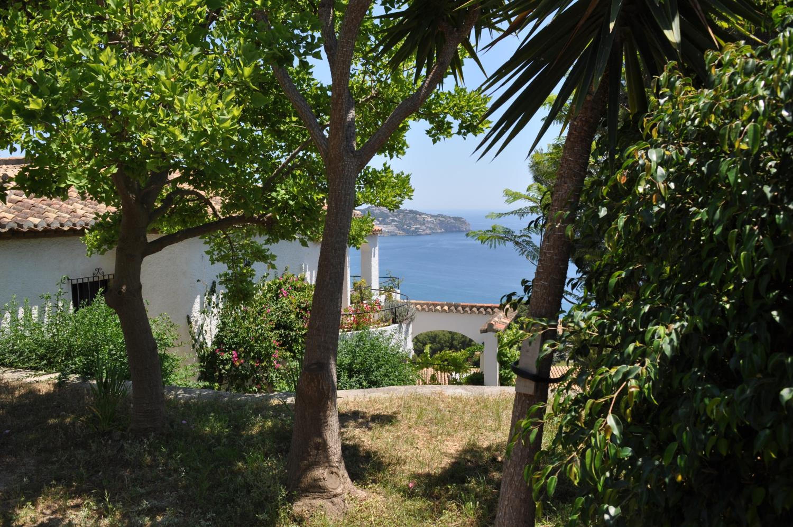 Photo 47