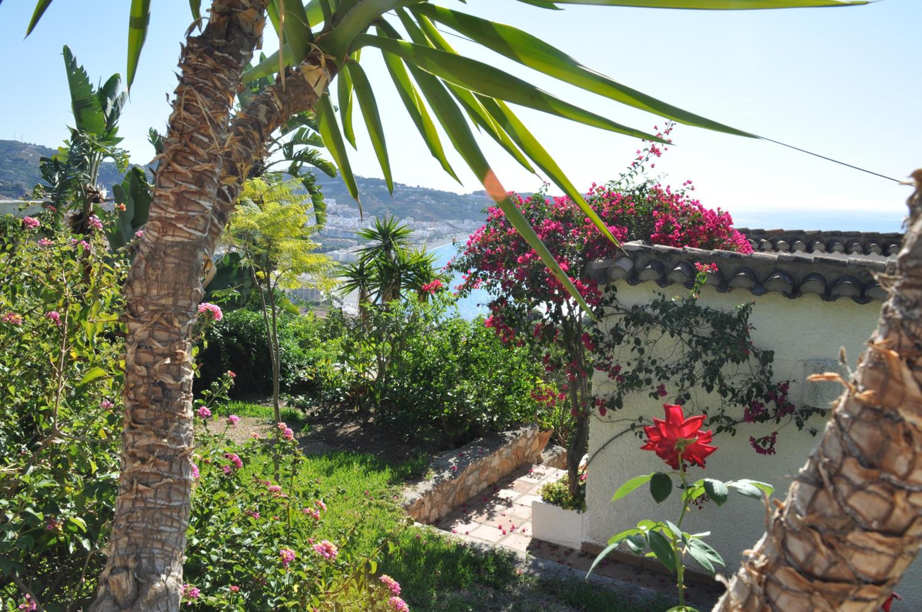 Casa Hortensia view 5