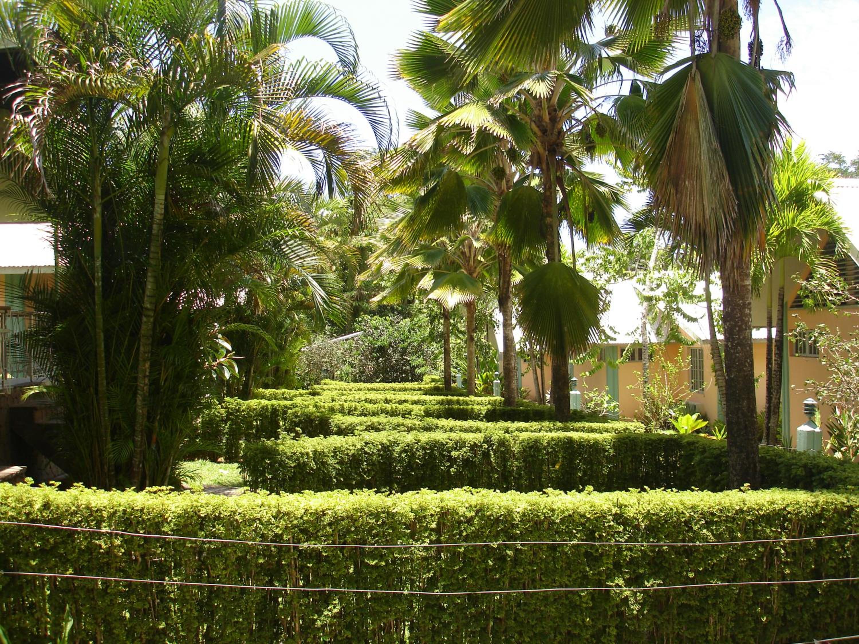 Photo 42