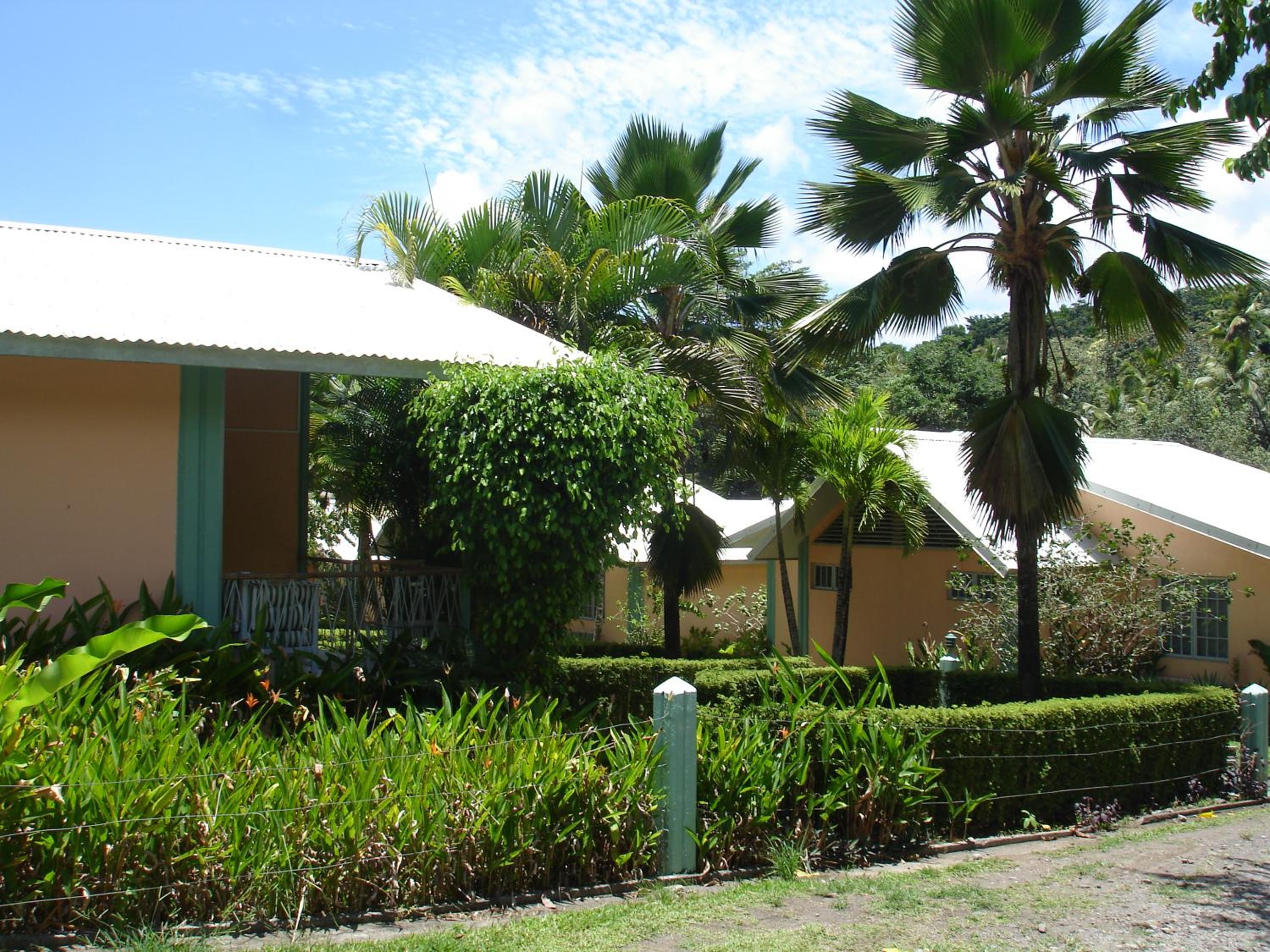 Photo 43