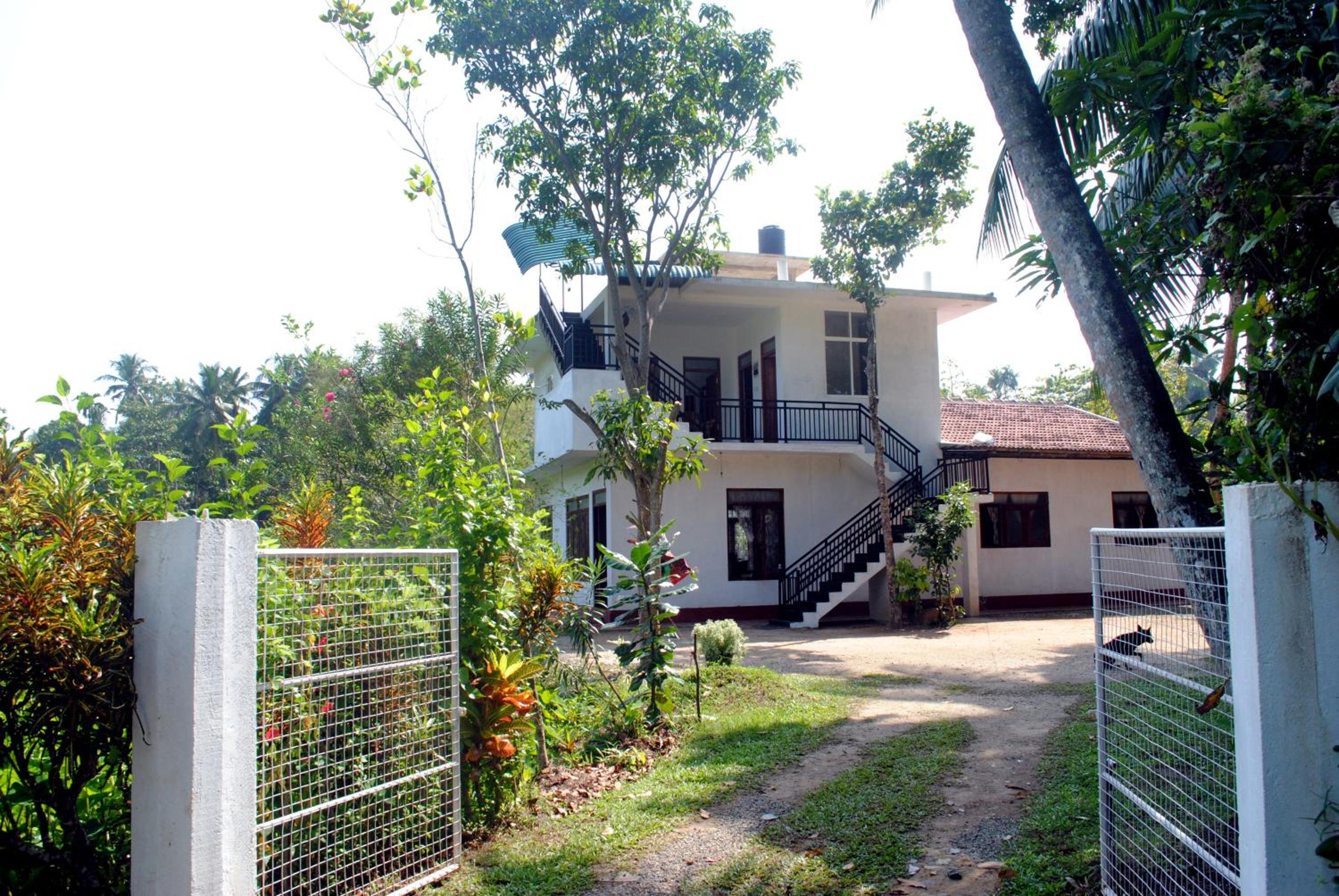 Photo 8