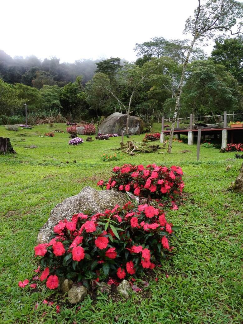 Spring Garden