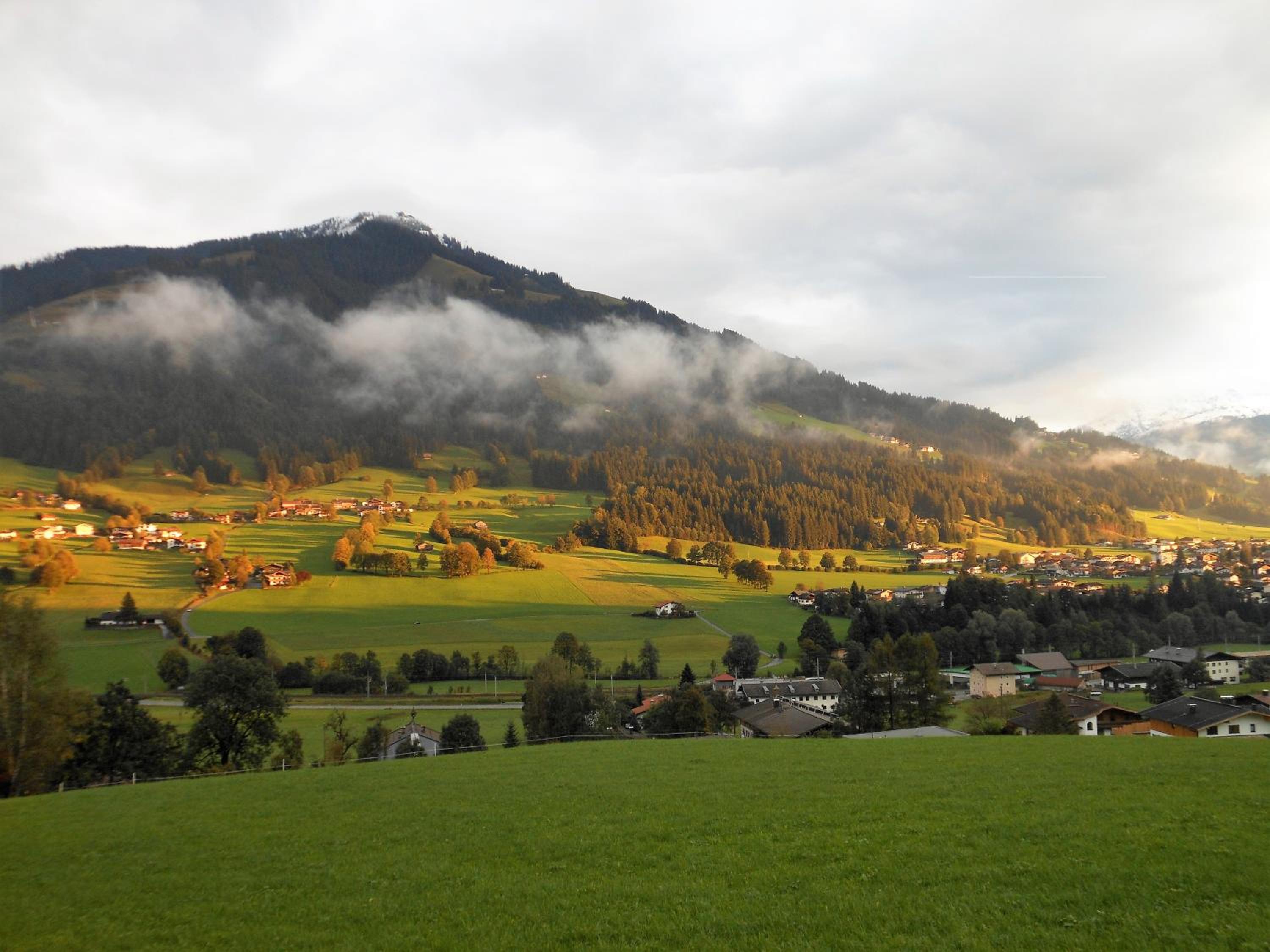 Haus Waldhof