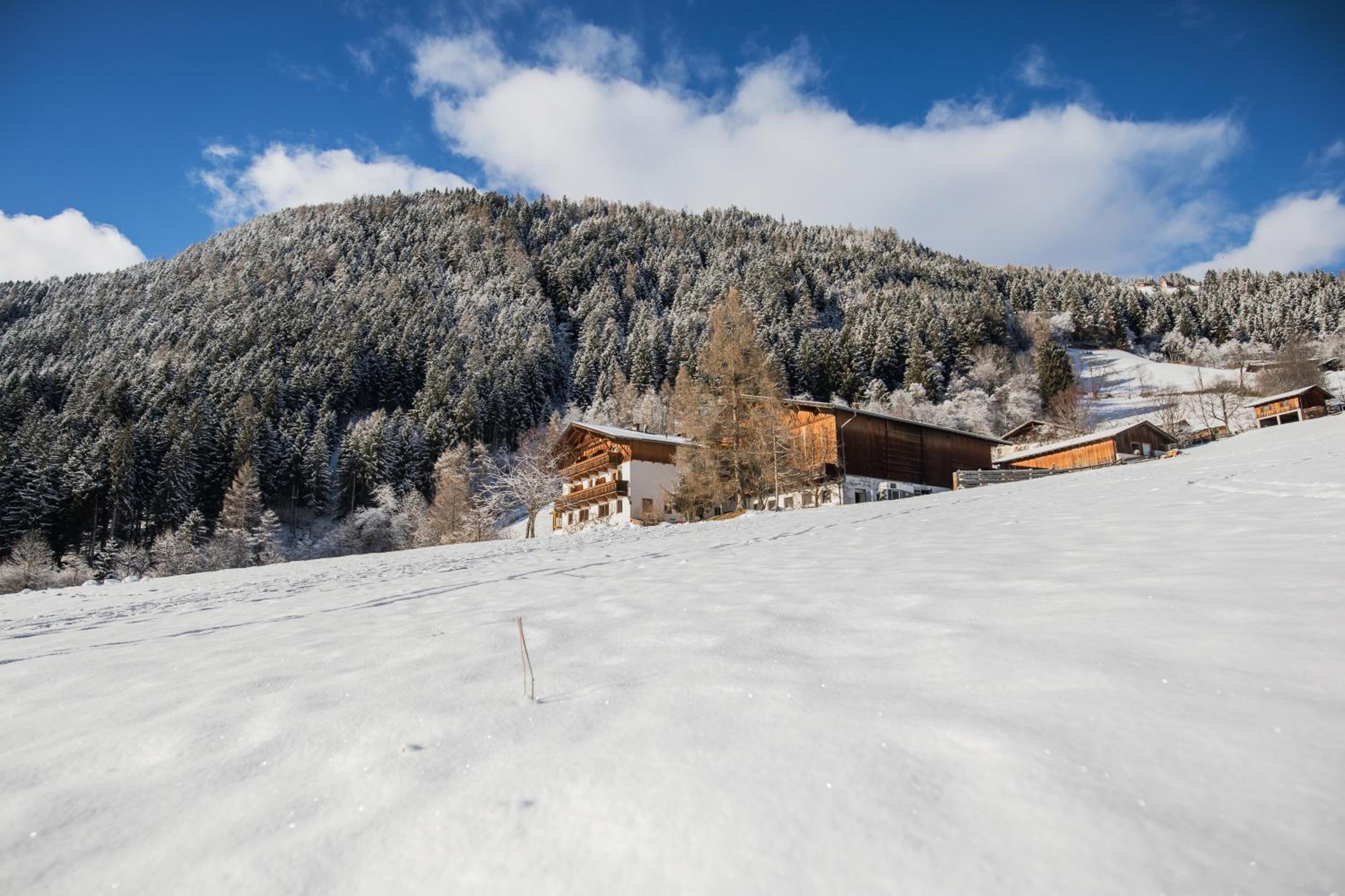 Ladestatthof