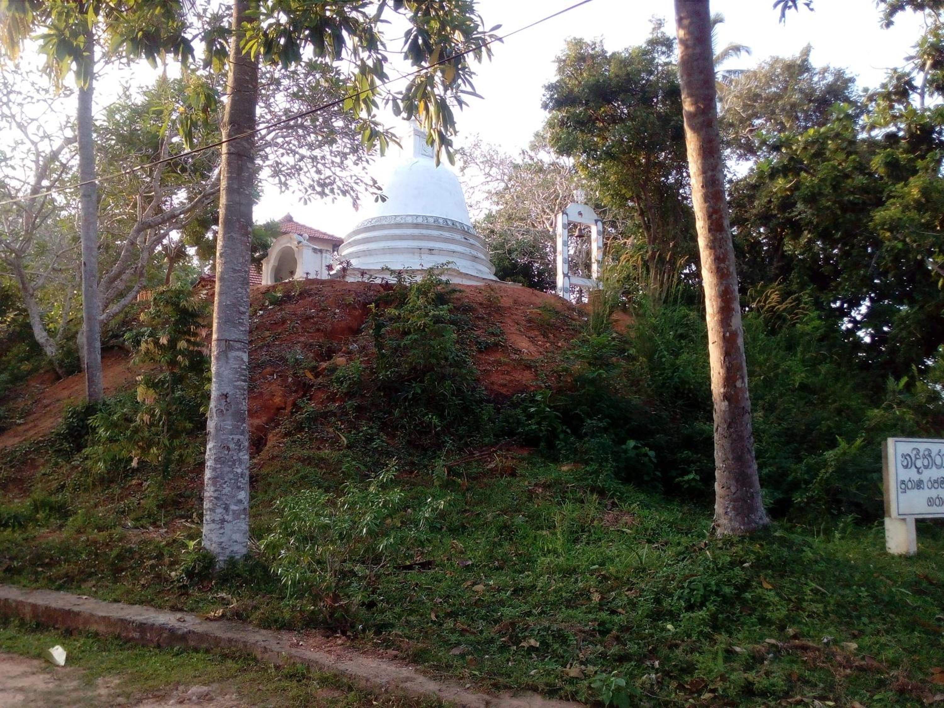 Photo 22