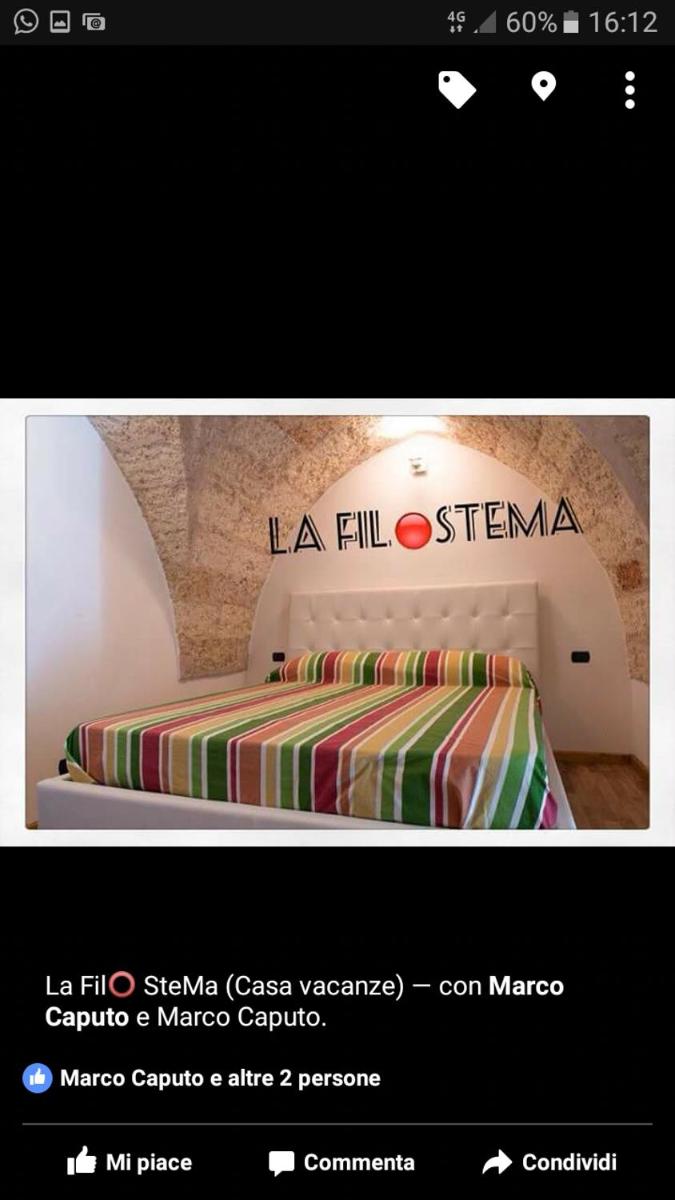 La Filostema photo 3
