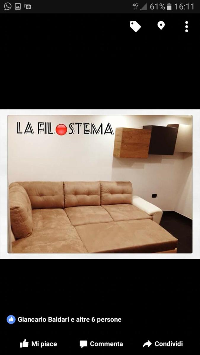 La Filostema photo 2