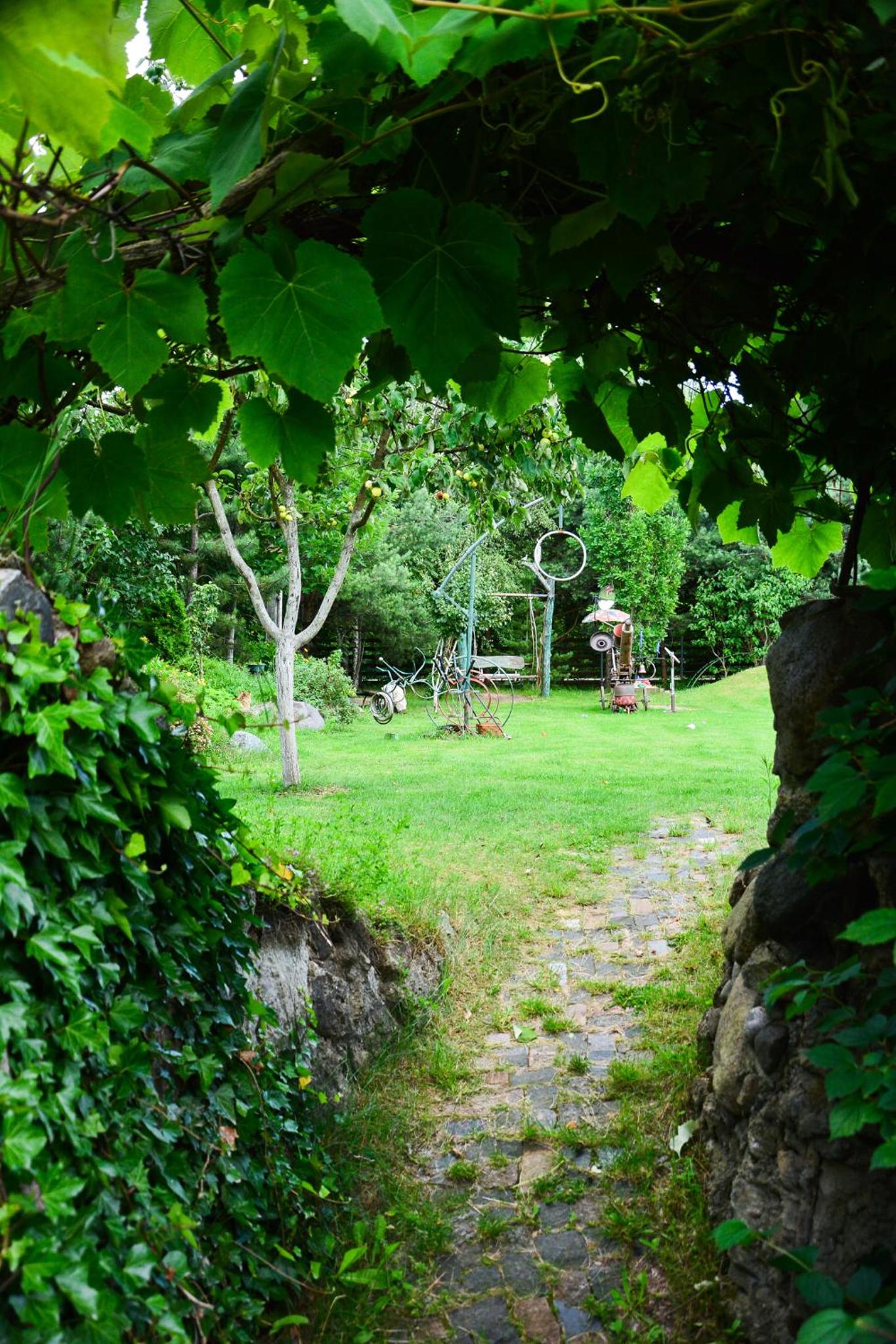 Photo 6