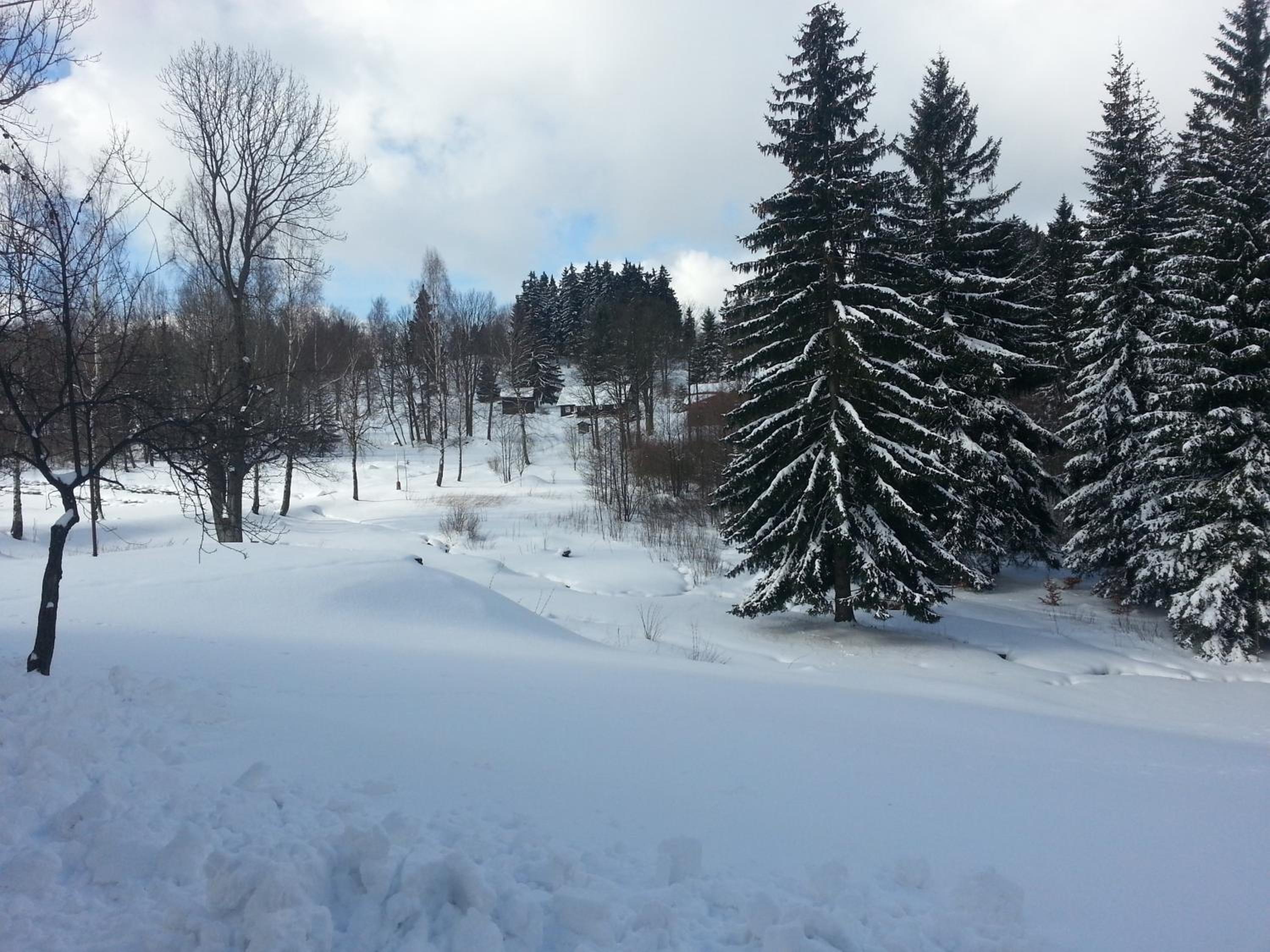 Photo 14