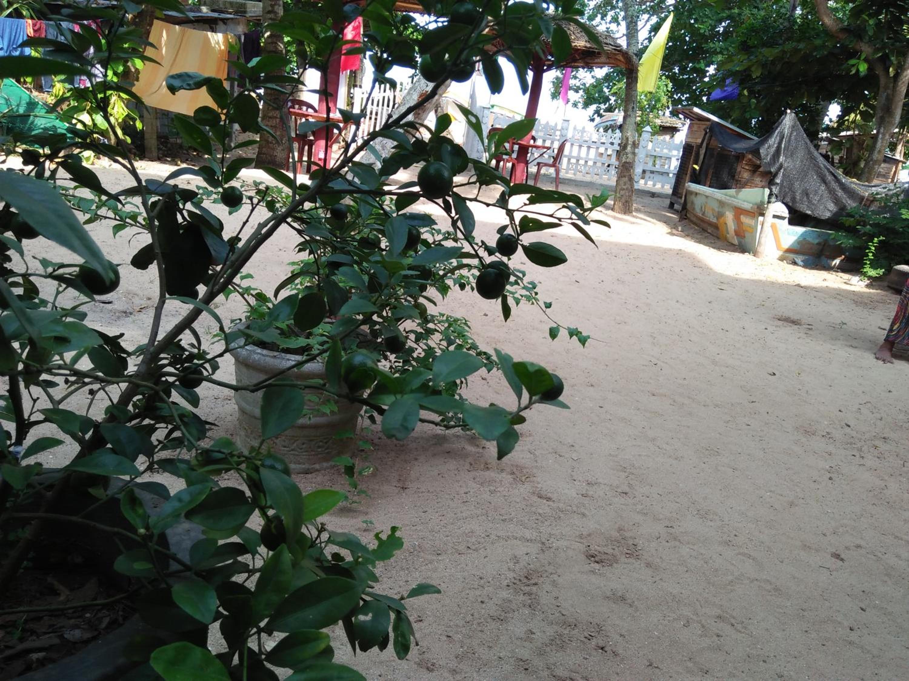 Photo 49