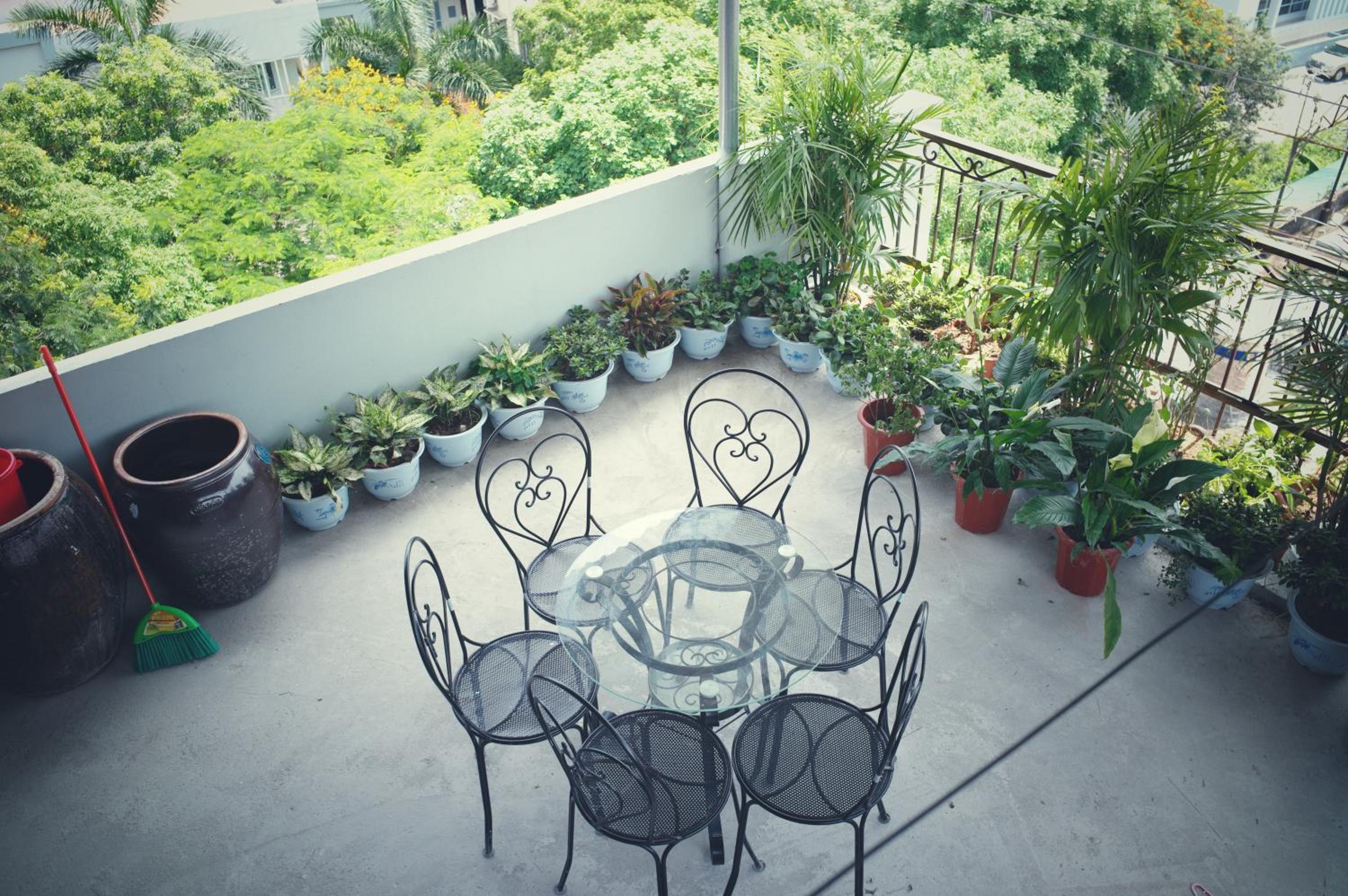 Tofu's House - A place called Home