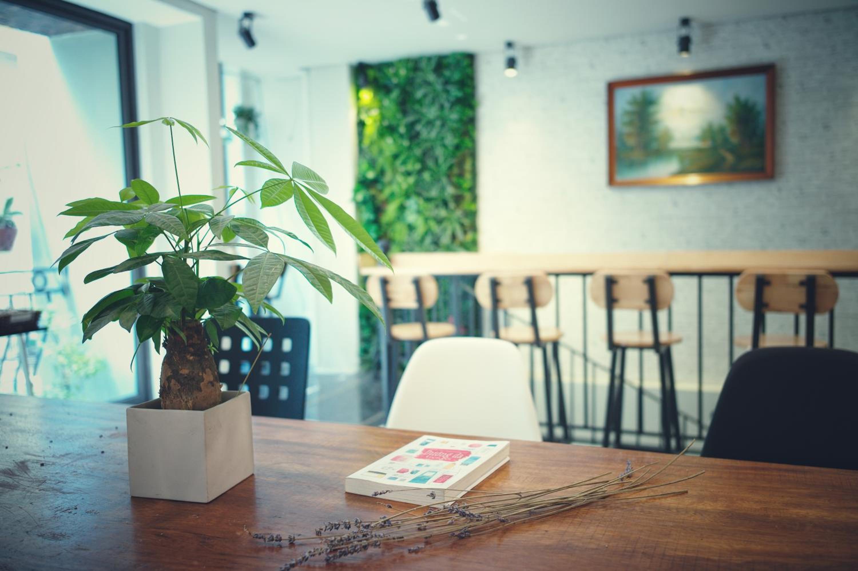 Tofu's House - A place called Home