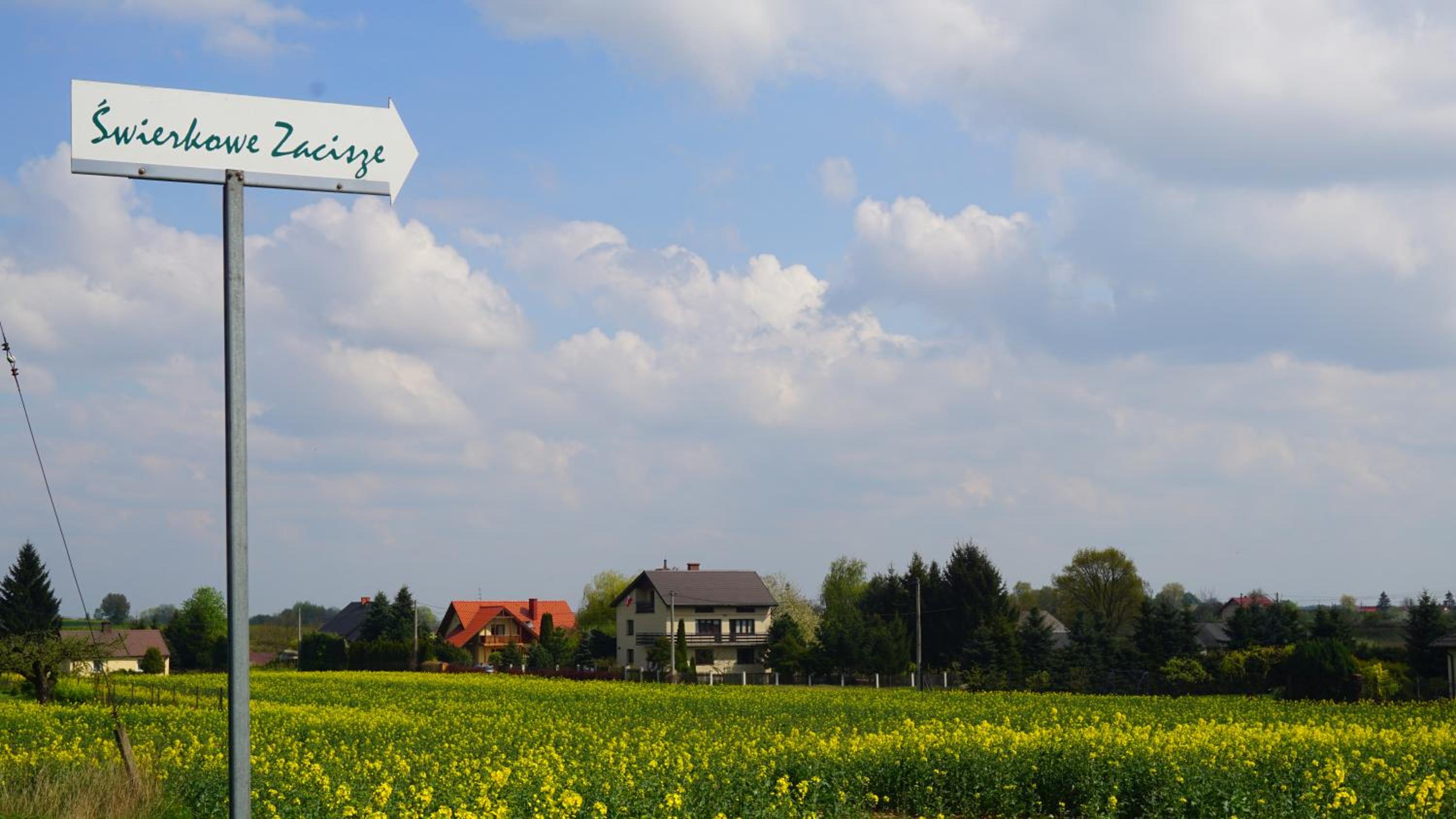 Świerkowy Nałęczów view 2