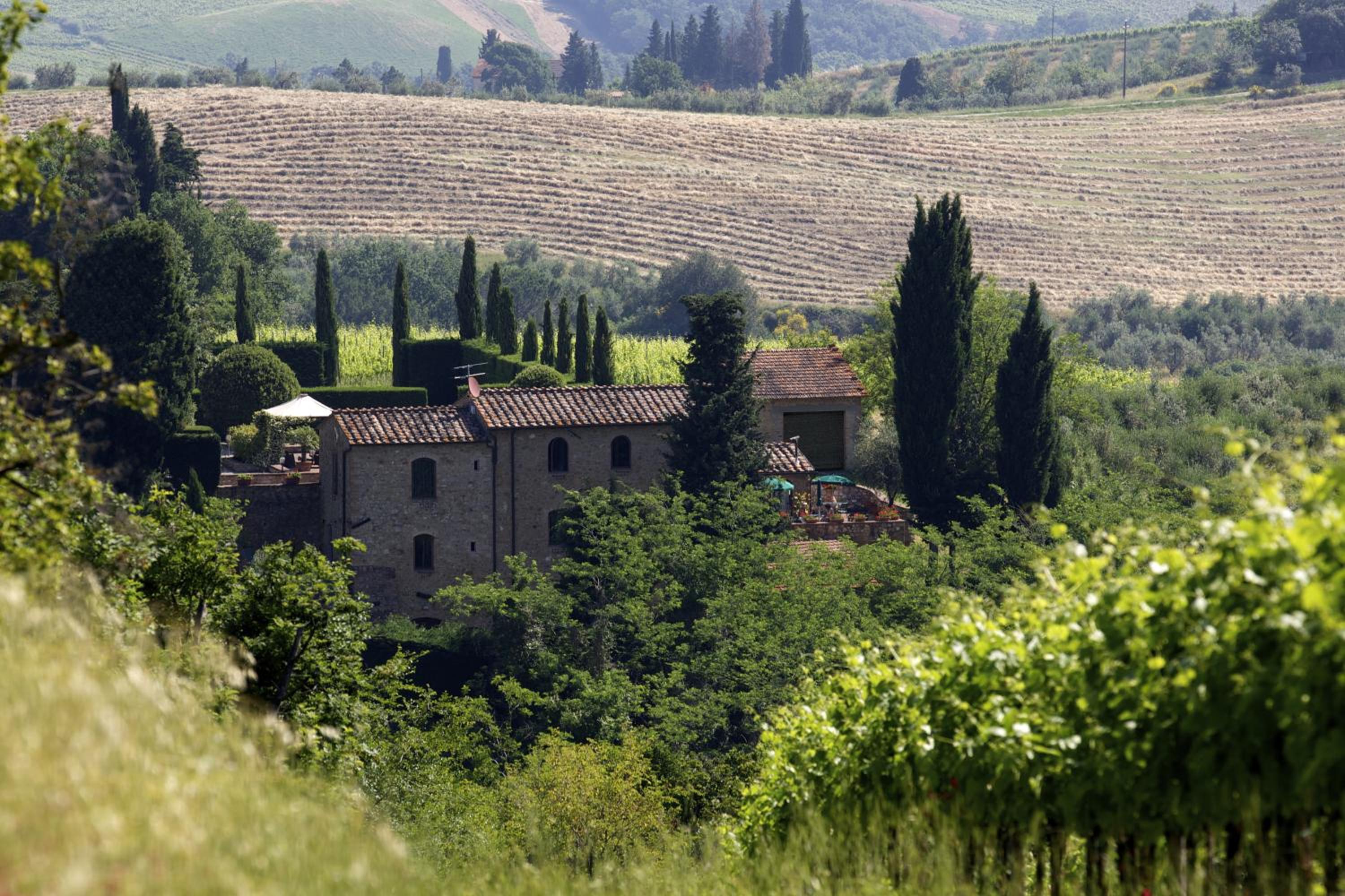 Rocca degli Olivi