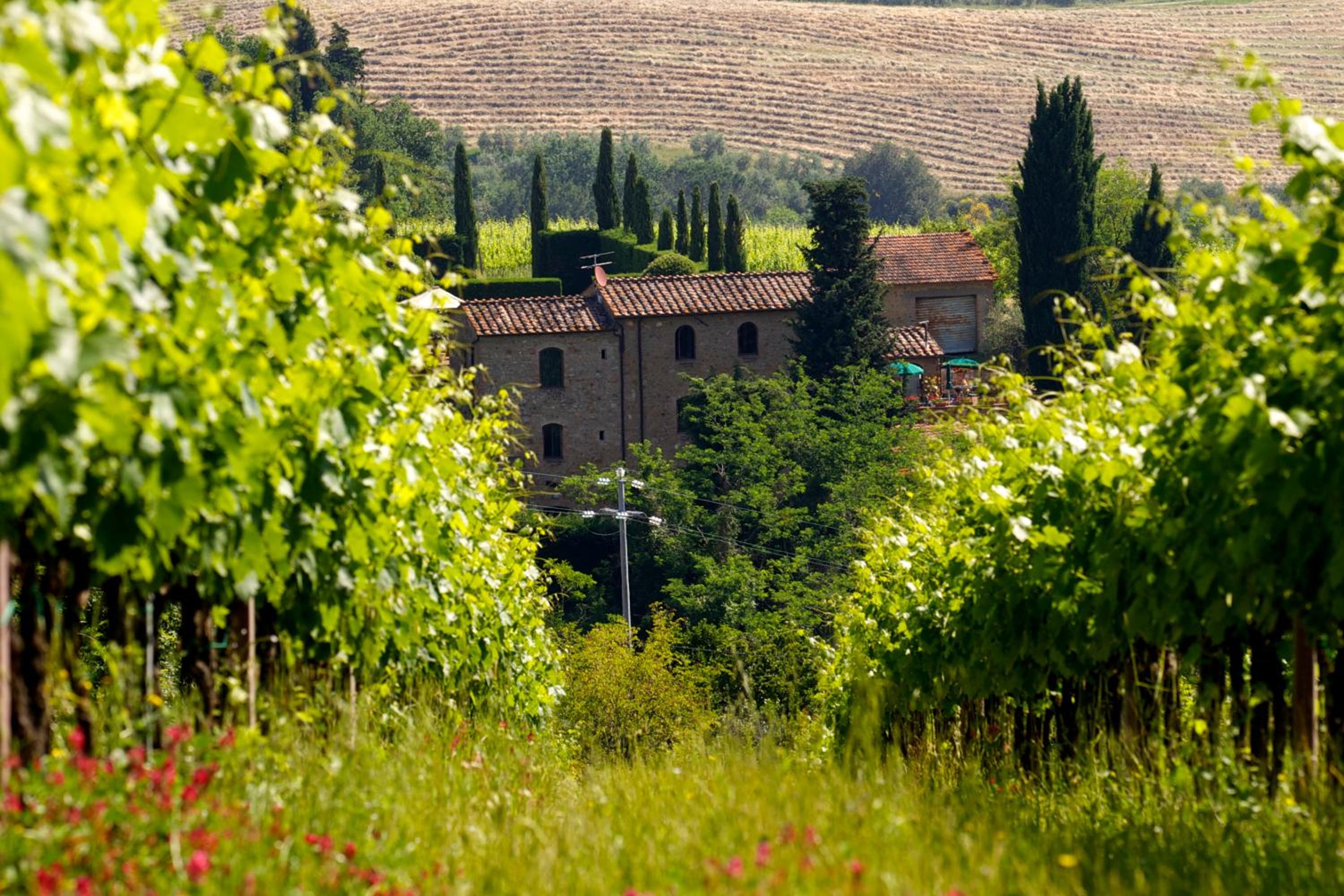 Rocca degli Olivi