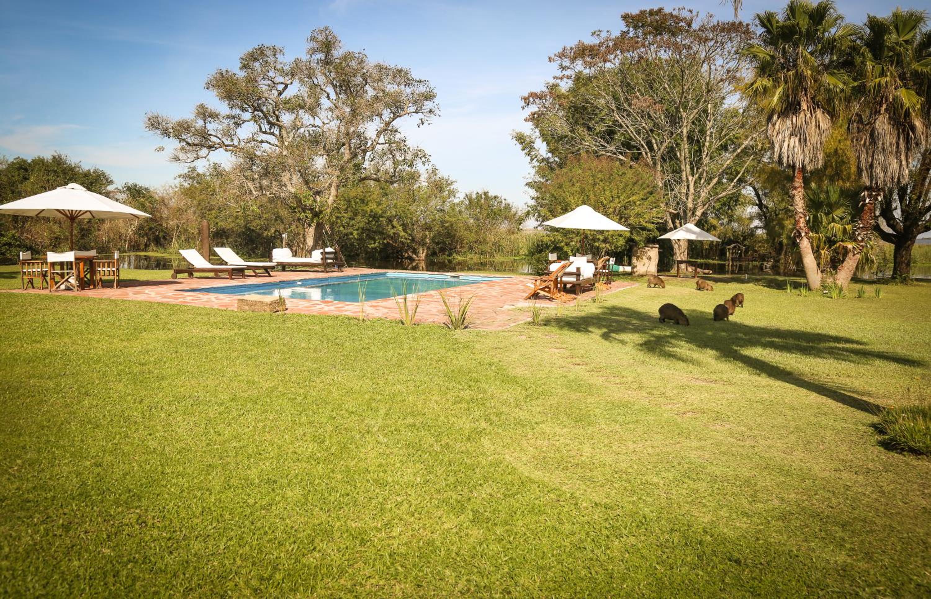 Aguapé Lodge