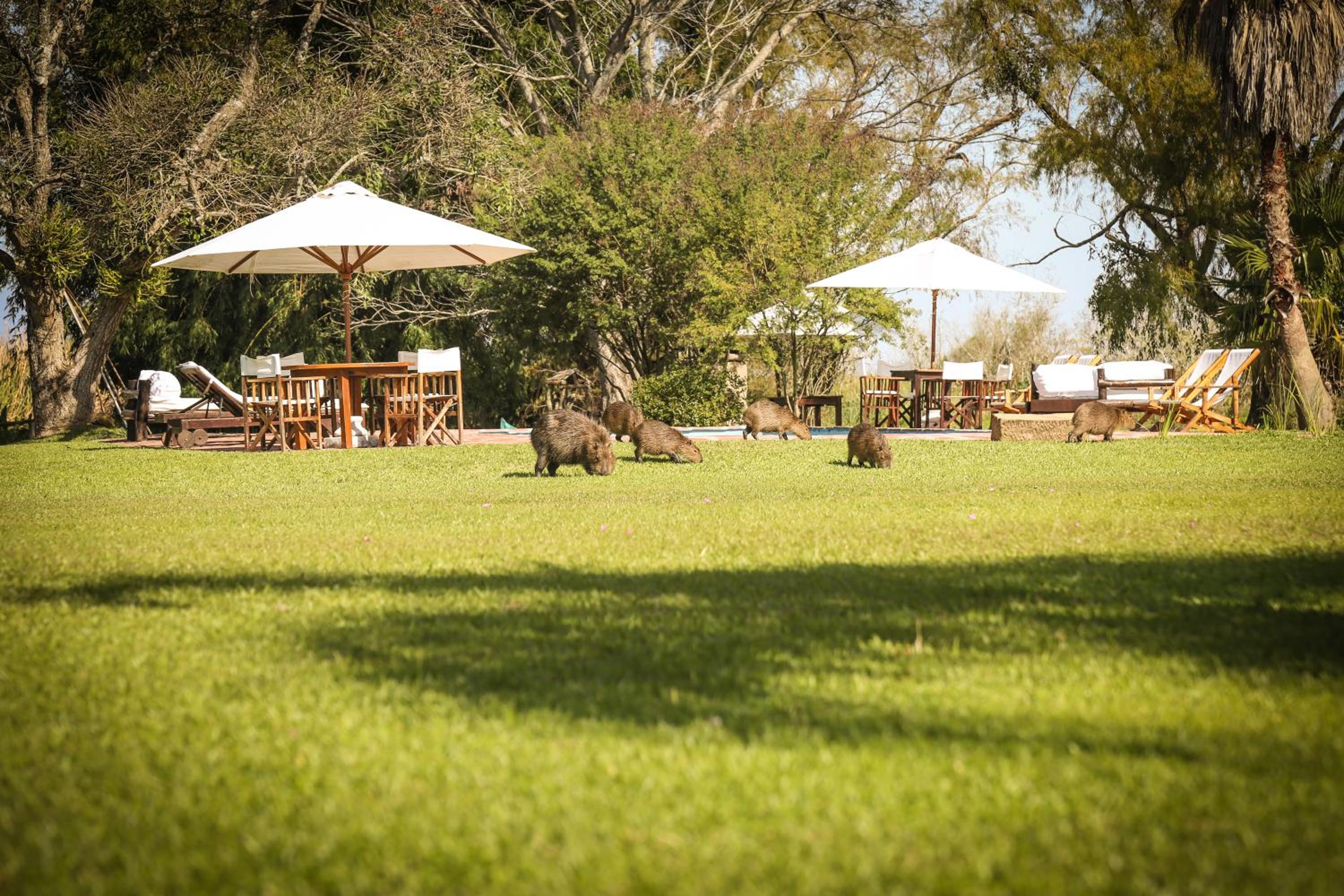 Aguapé Lodge