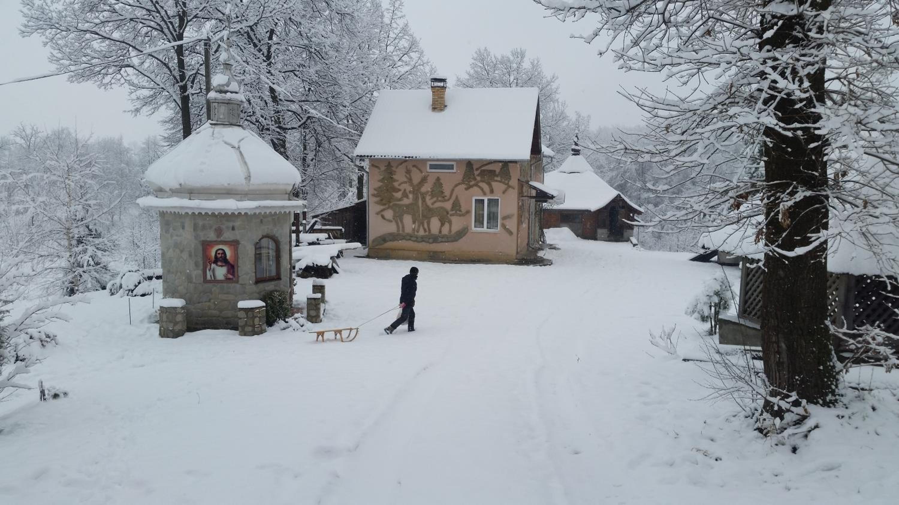 Photo 45