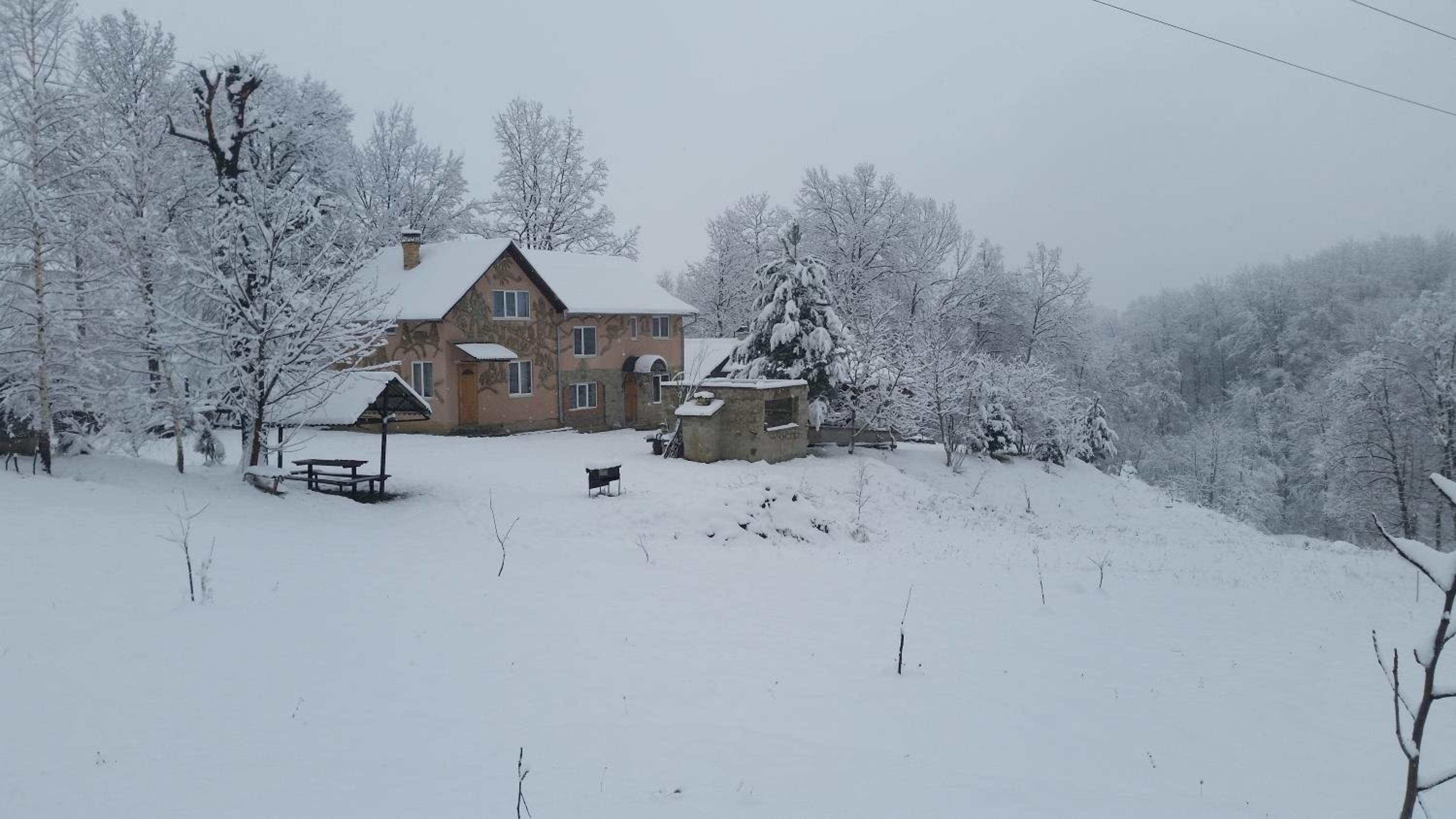 Photo 48