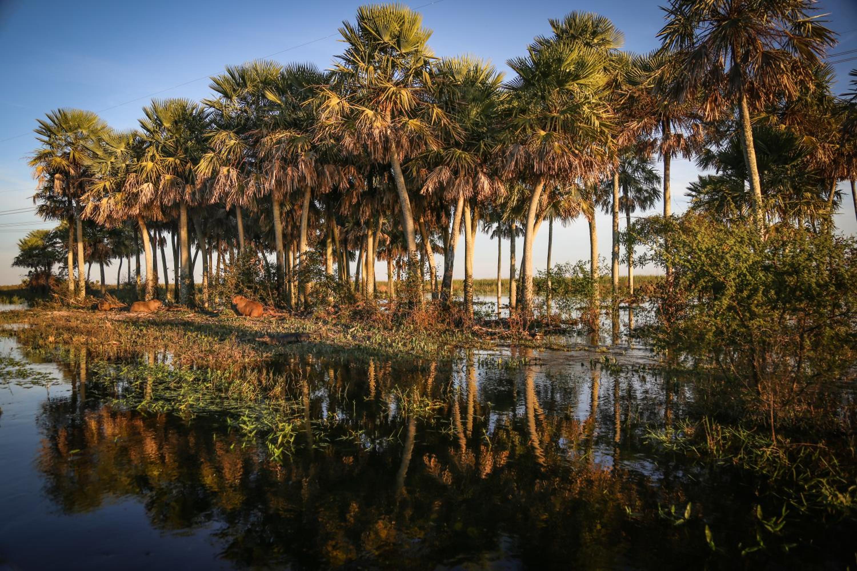 Aguapé Lodge