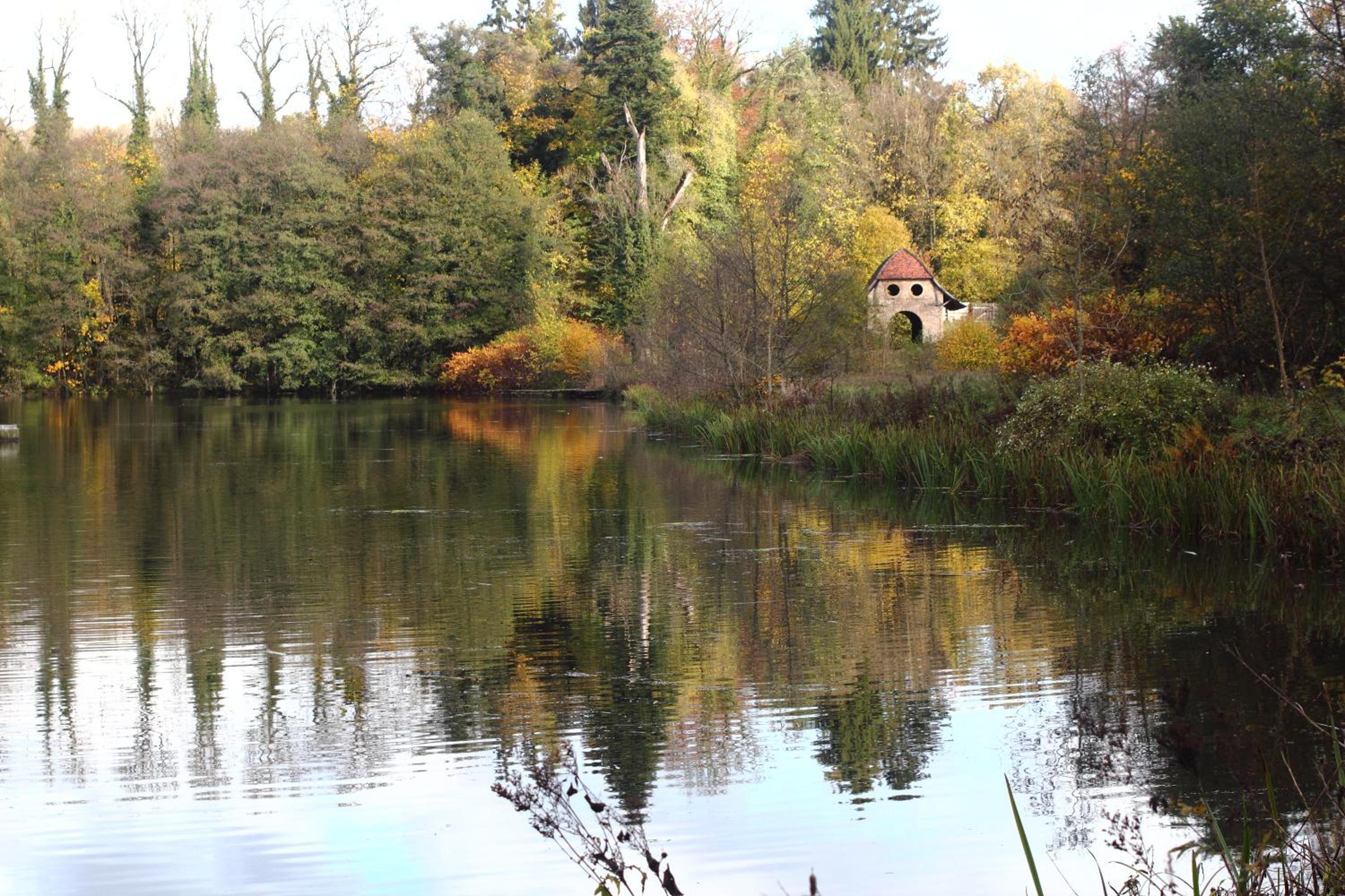 Ferienwohnung Hochwald
