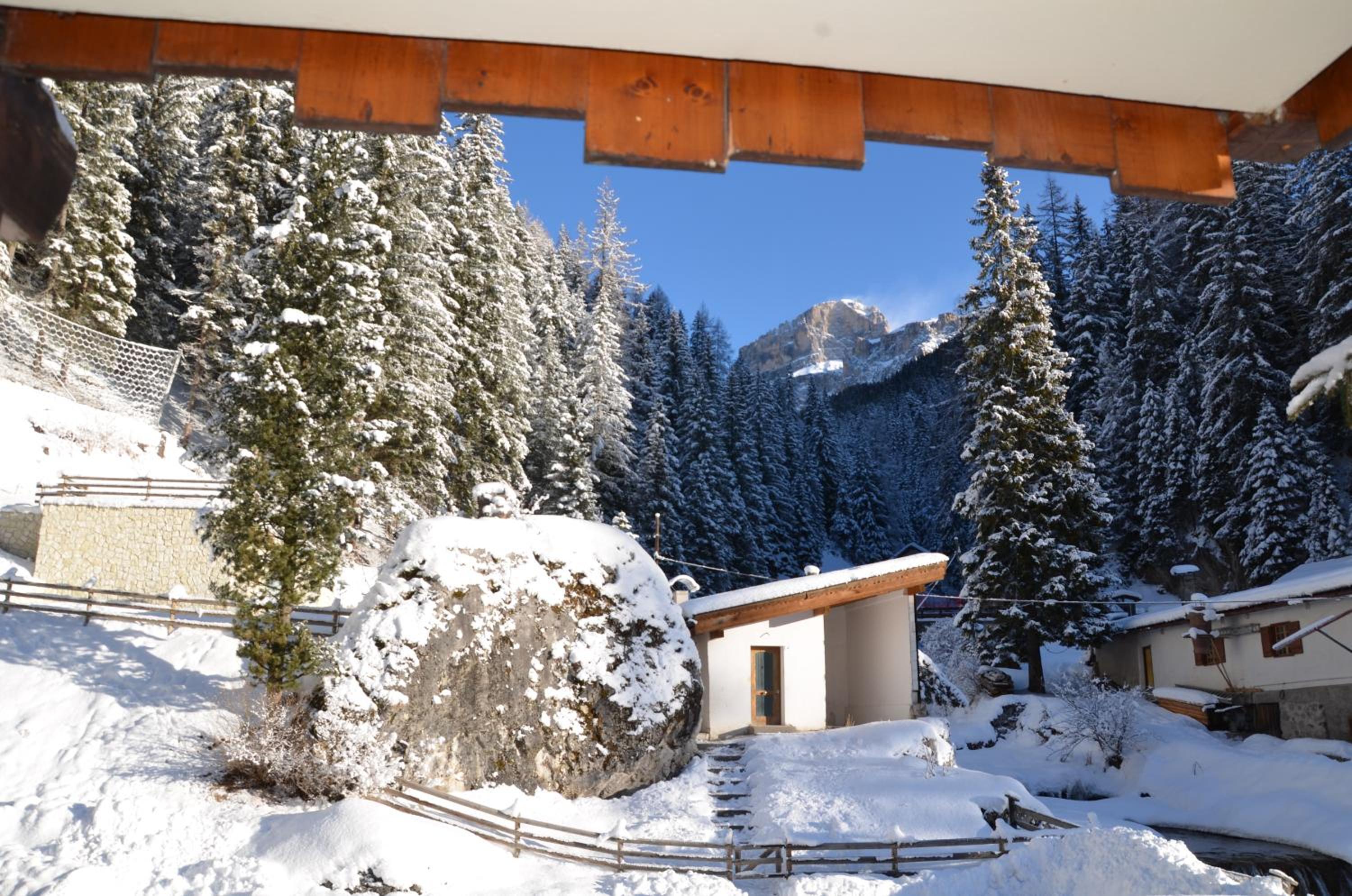 Casa del bosco