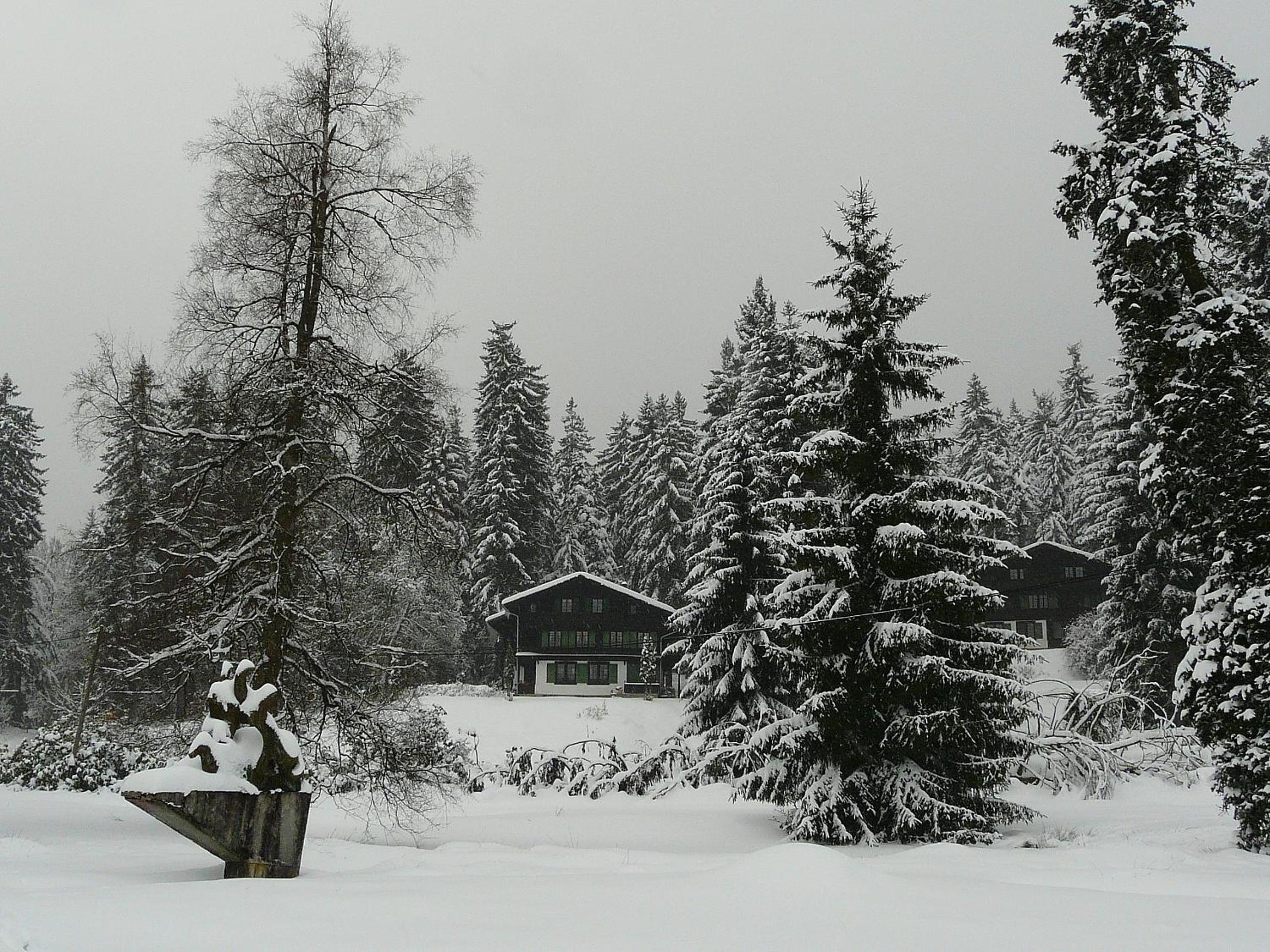 Photo 30