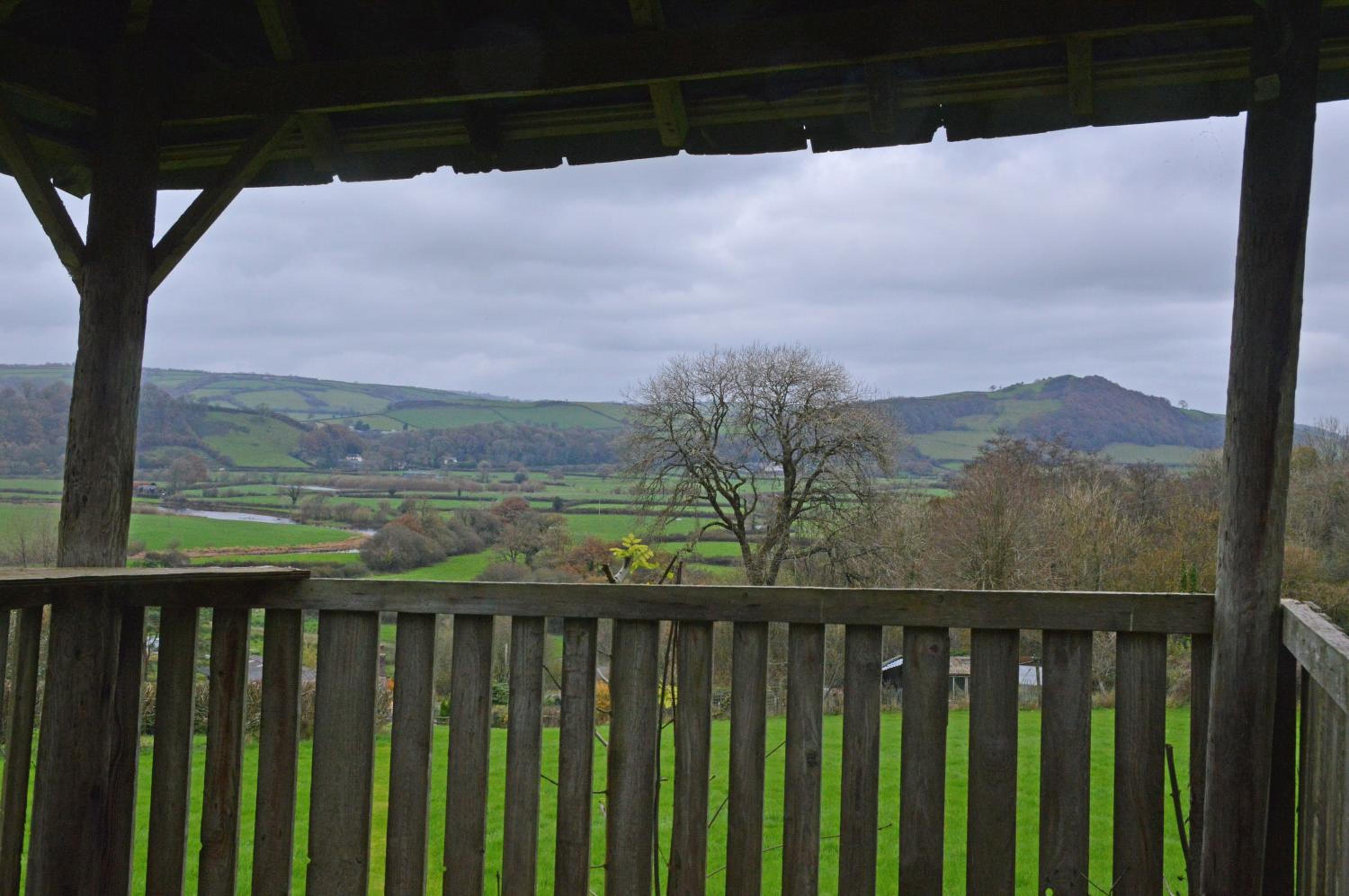Bryn Hebog