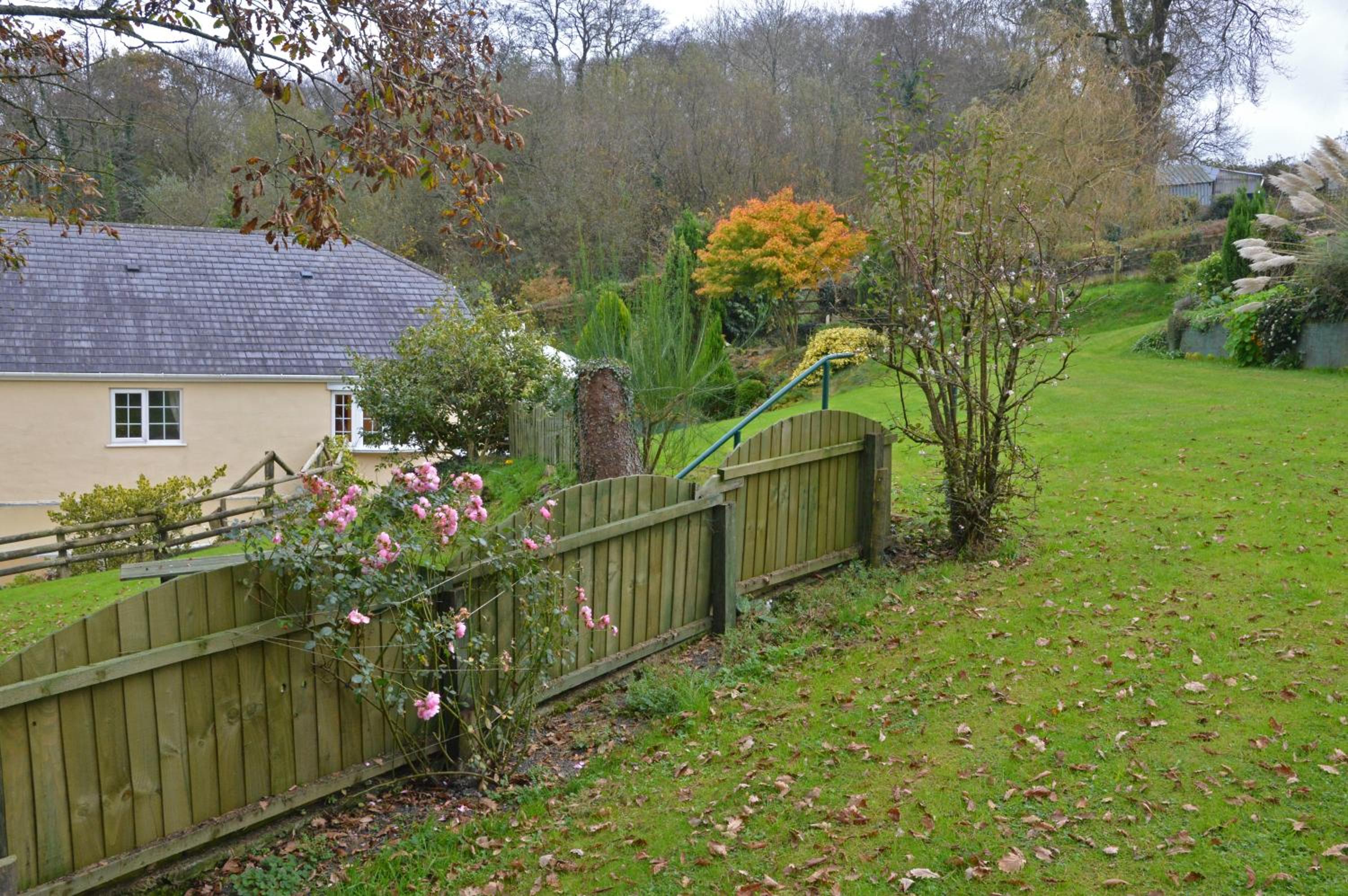 Bryn Hebog
