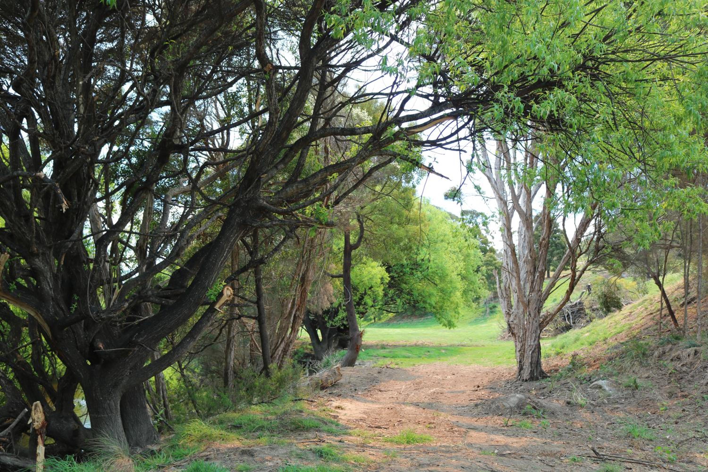 George River Park