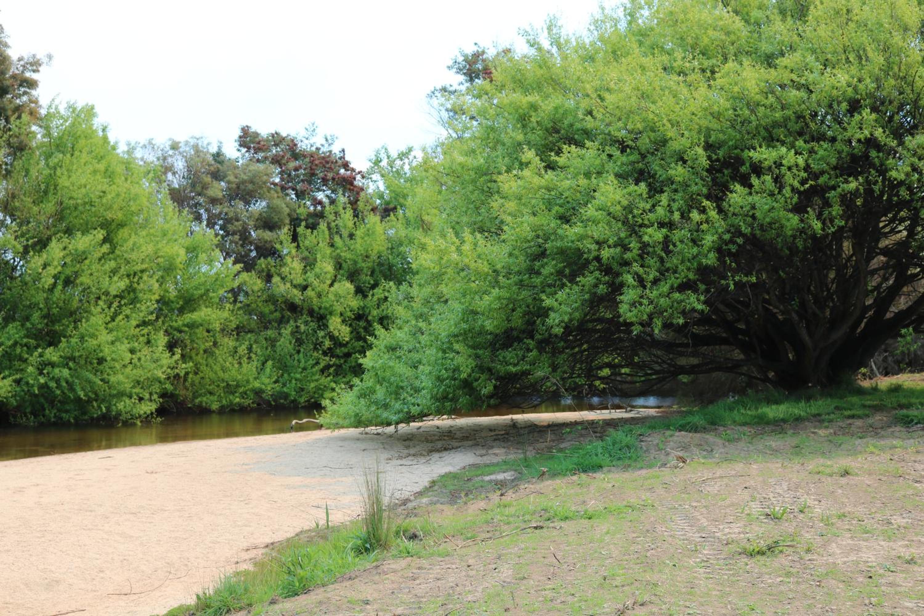 George River Park