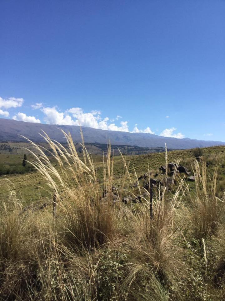 Cabañas Vientos del Sur