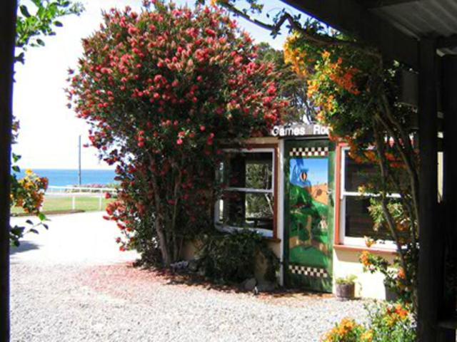 Photo 7