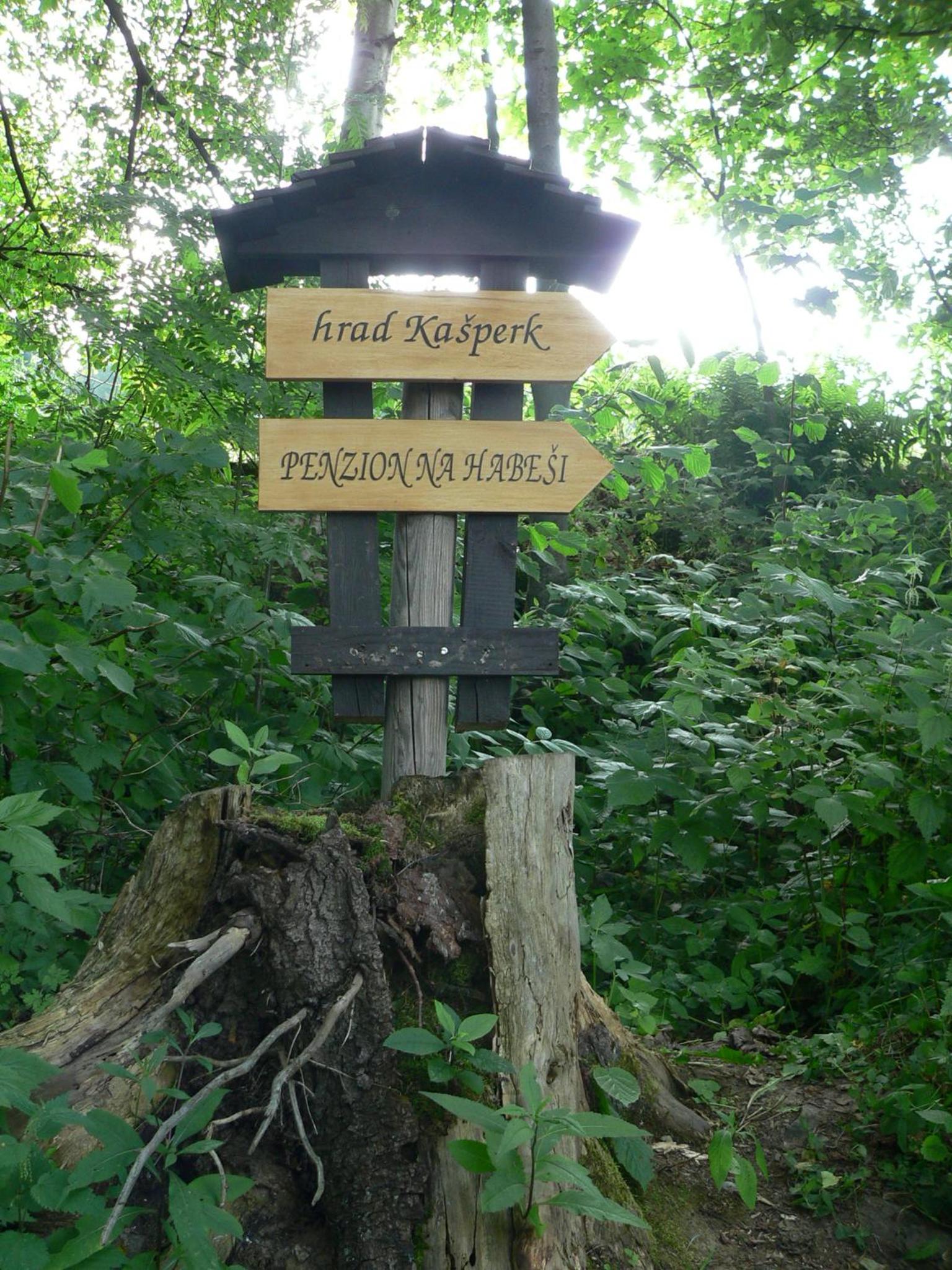 Photo 29