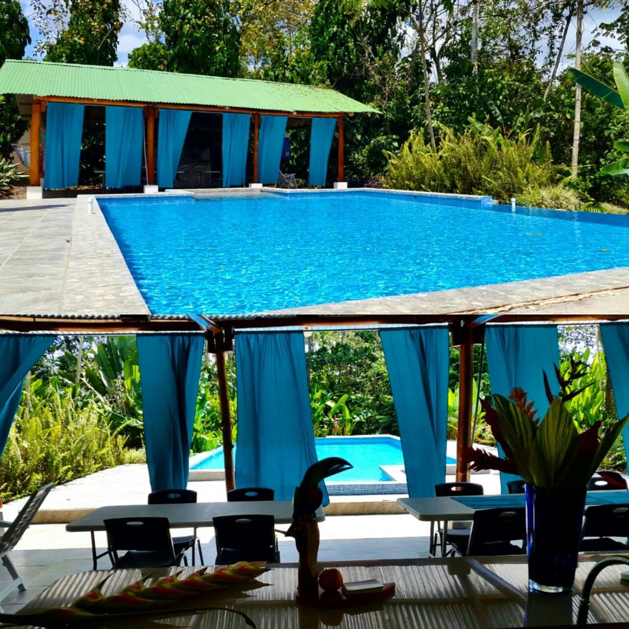 Tropical Paradise Bungalows