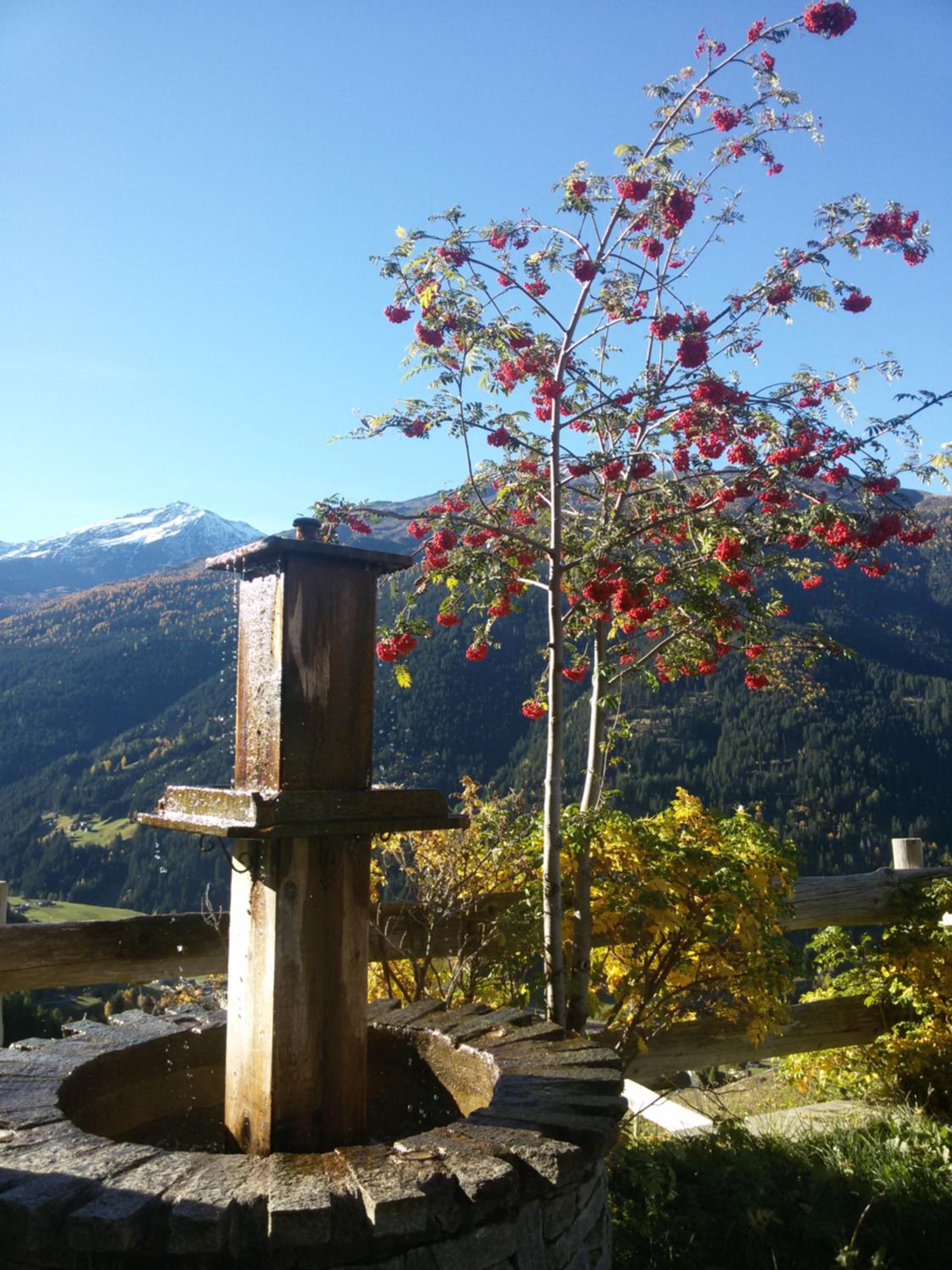 Photo 40