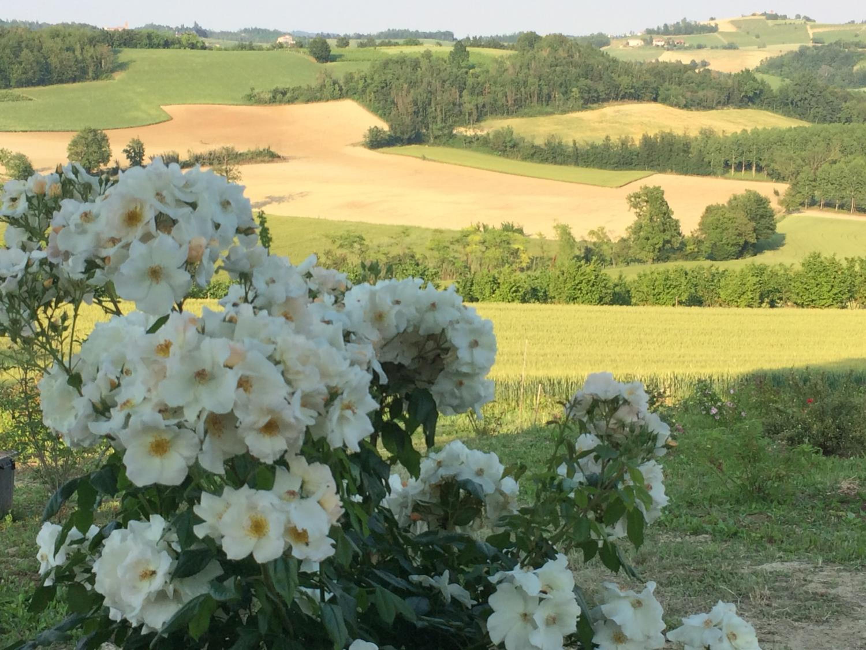 Cascina Vicentini