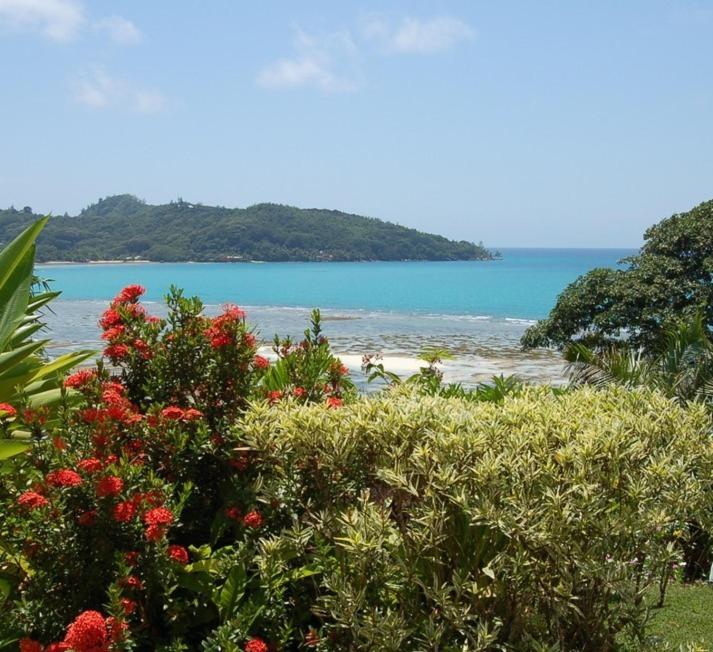 Sailfish Beach Villas photo 2