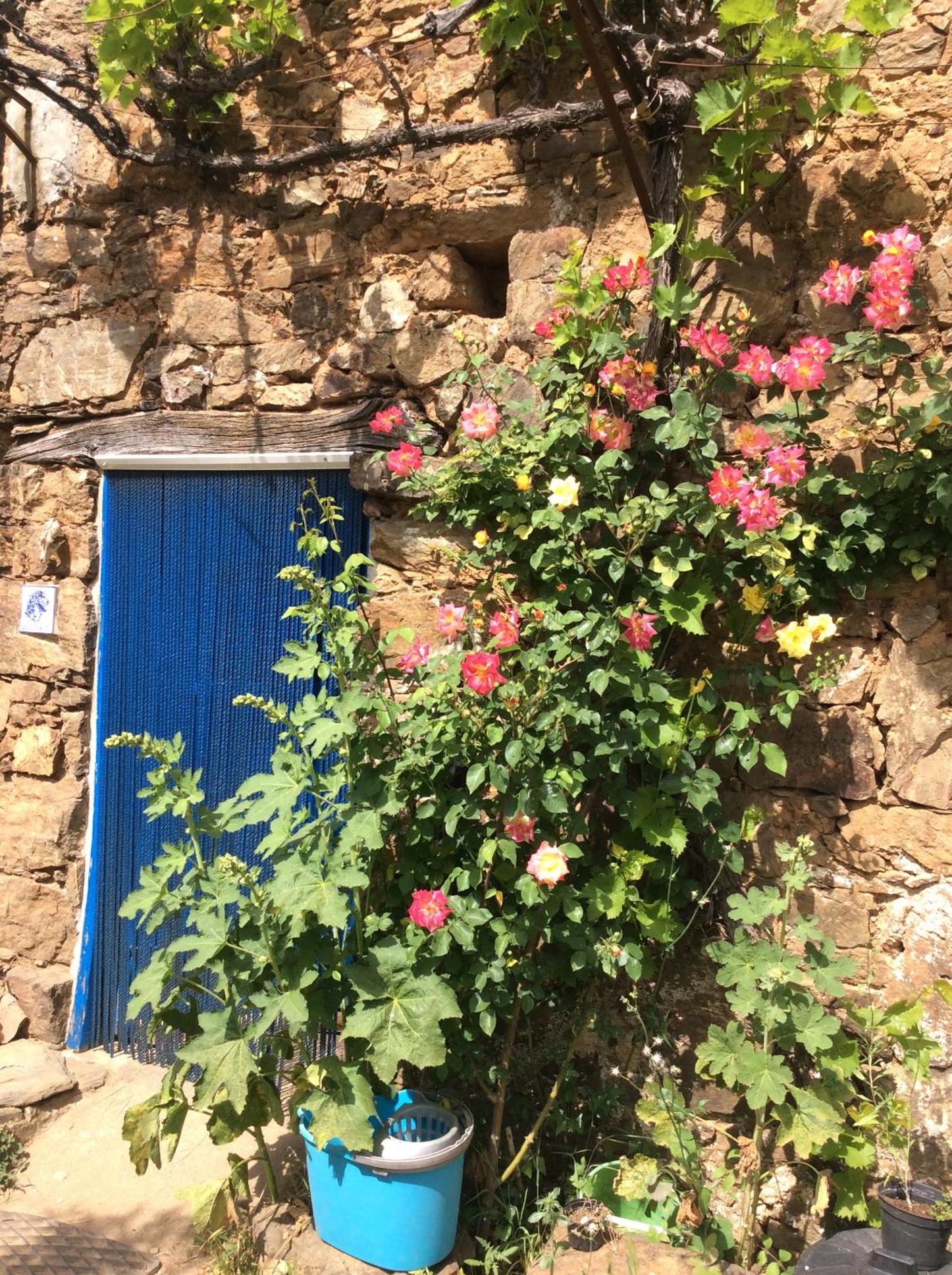 Guest Room Agro-turismo Quinta da Fonte Bed&Breakfast