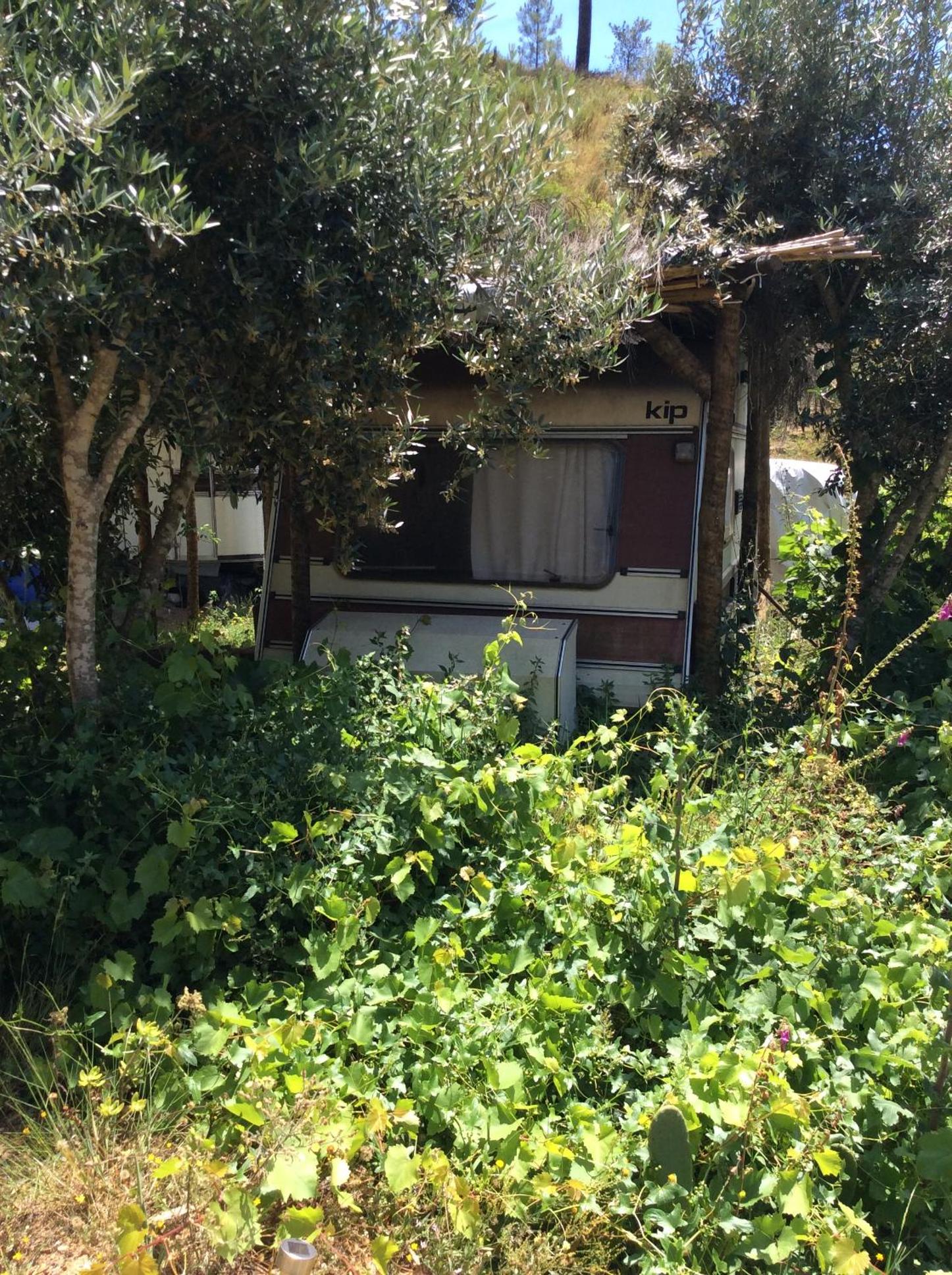 Guest Room Agro-turismo Quinta da Fonte Bed&Breakfast