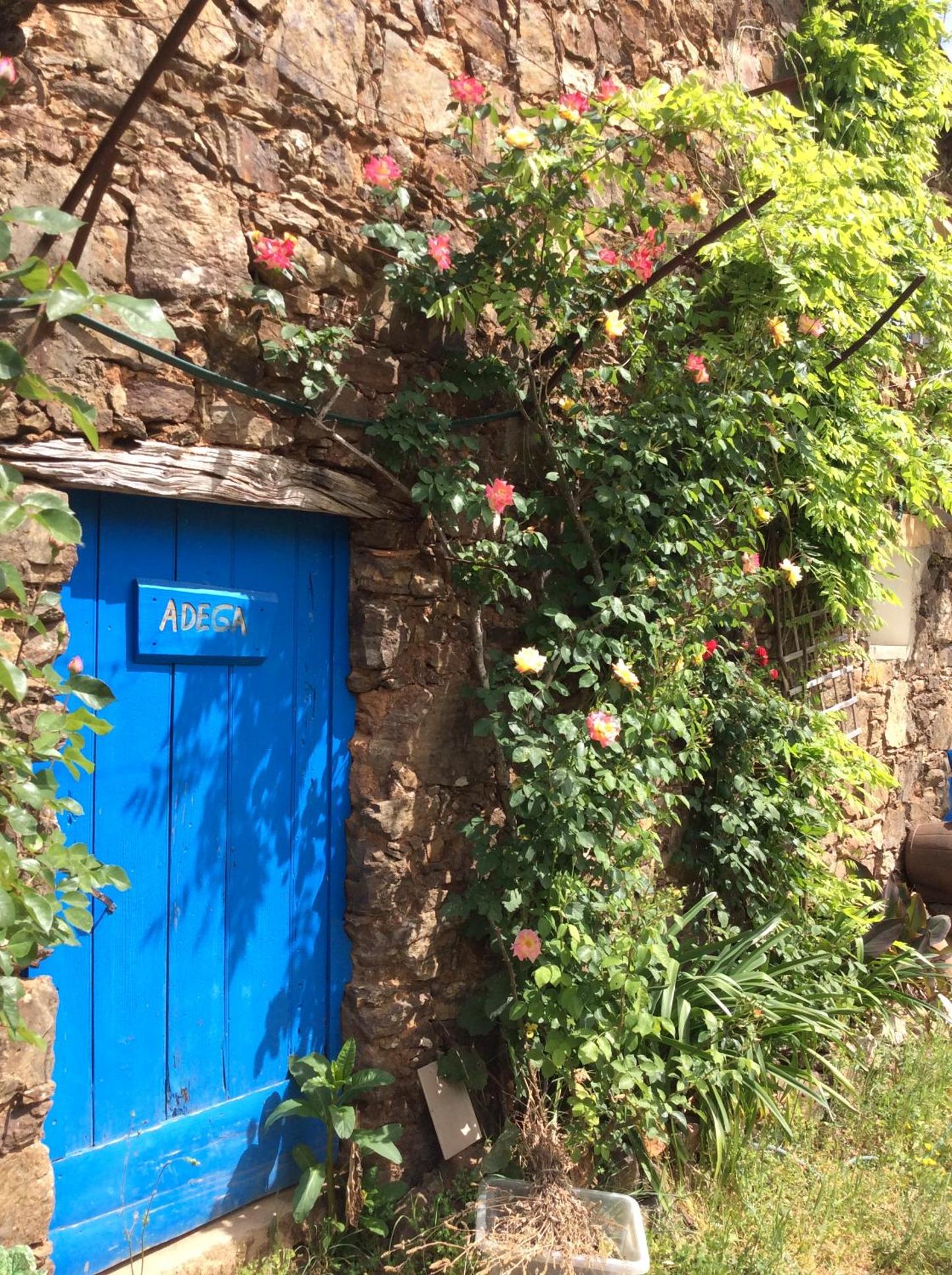 Guest Room Agro-turismo Quinta da Fonte Bed&Breakfast