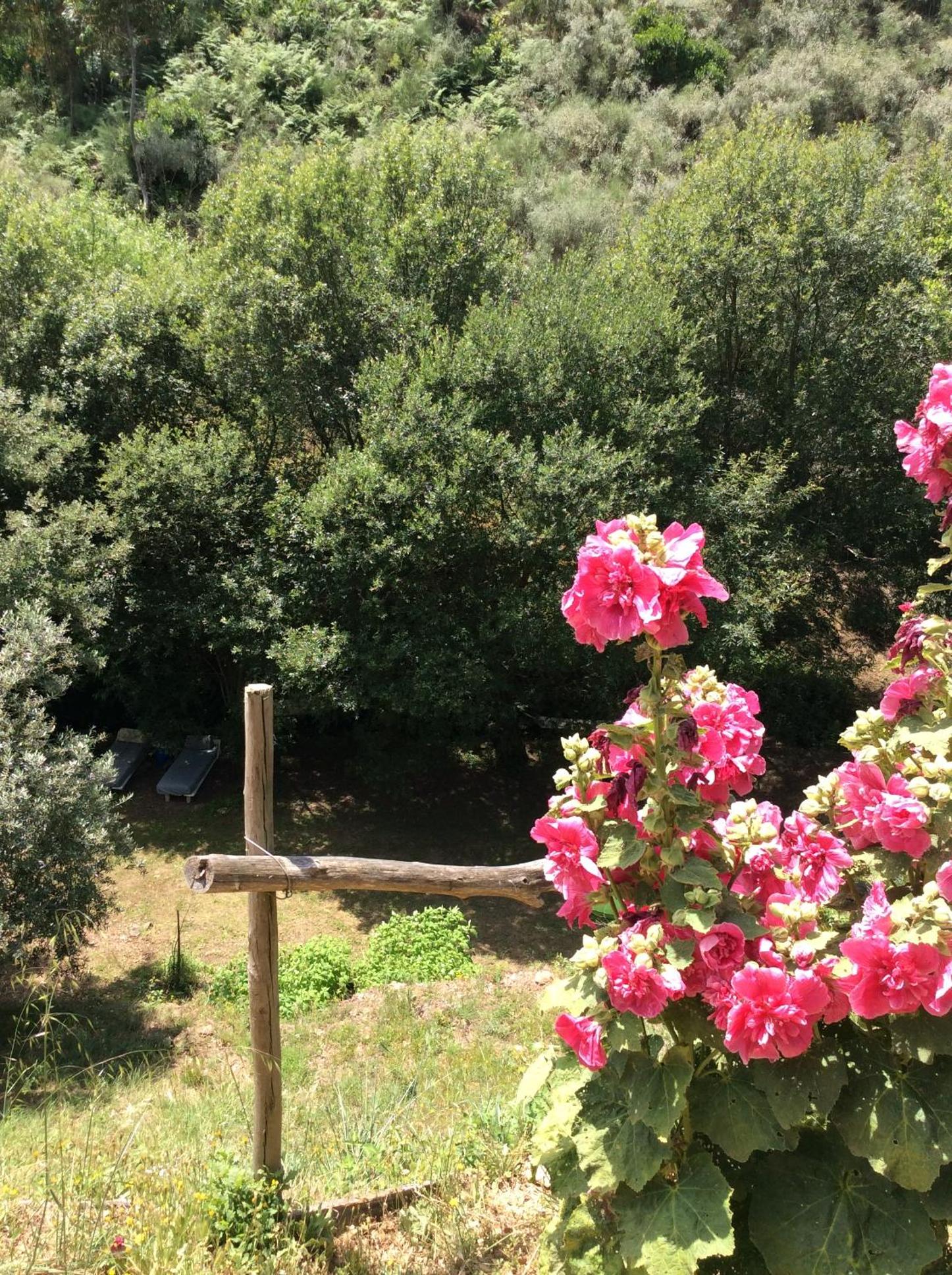 Guest Room Agro-turismo Quinta da Fonte Bed&Breakfast