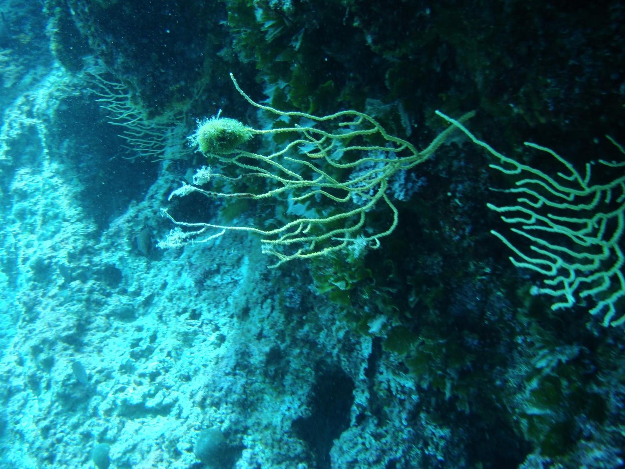 Photo 41
