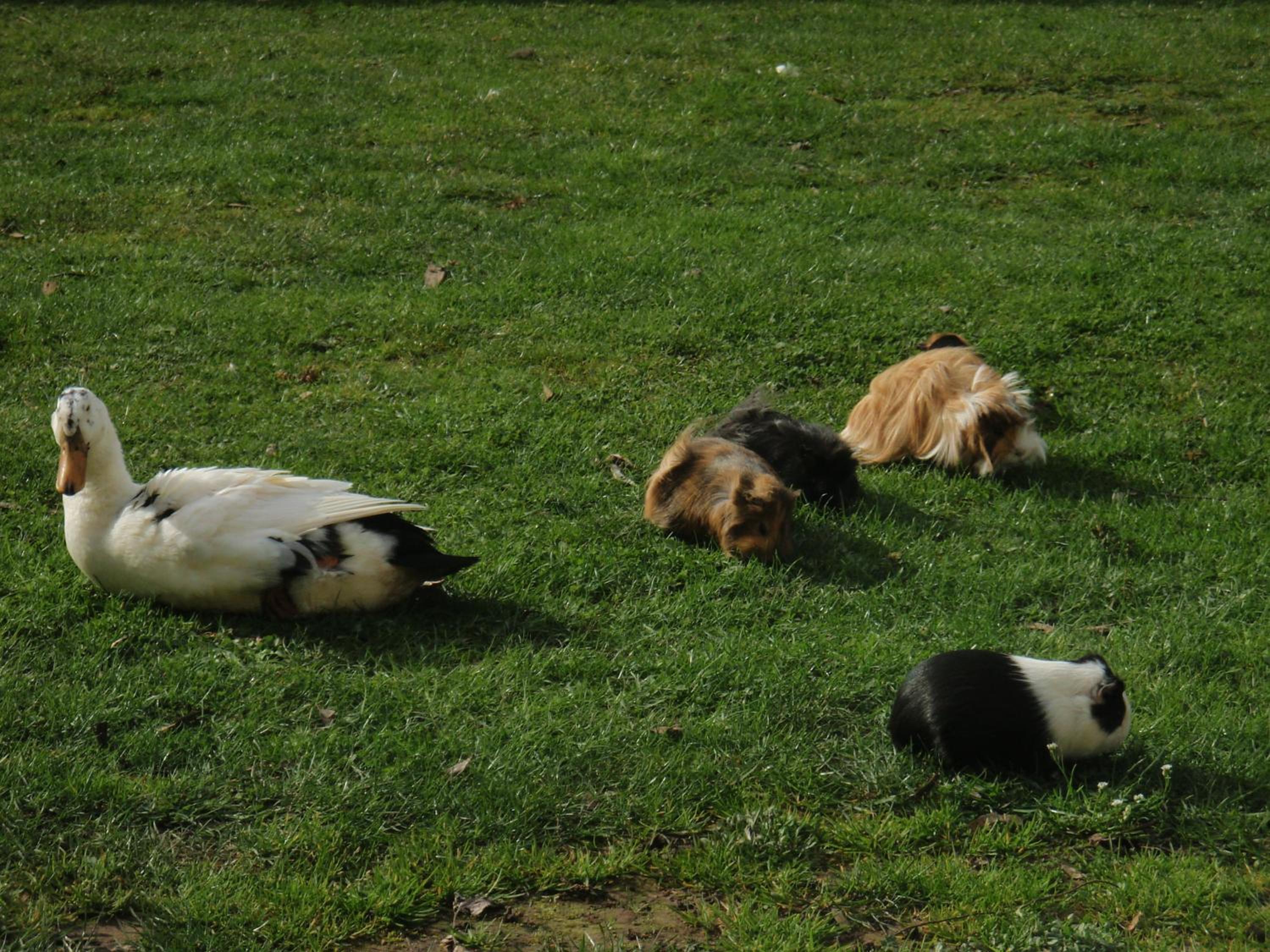 Photo 48
