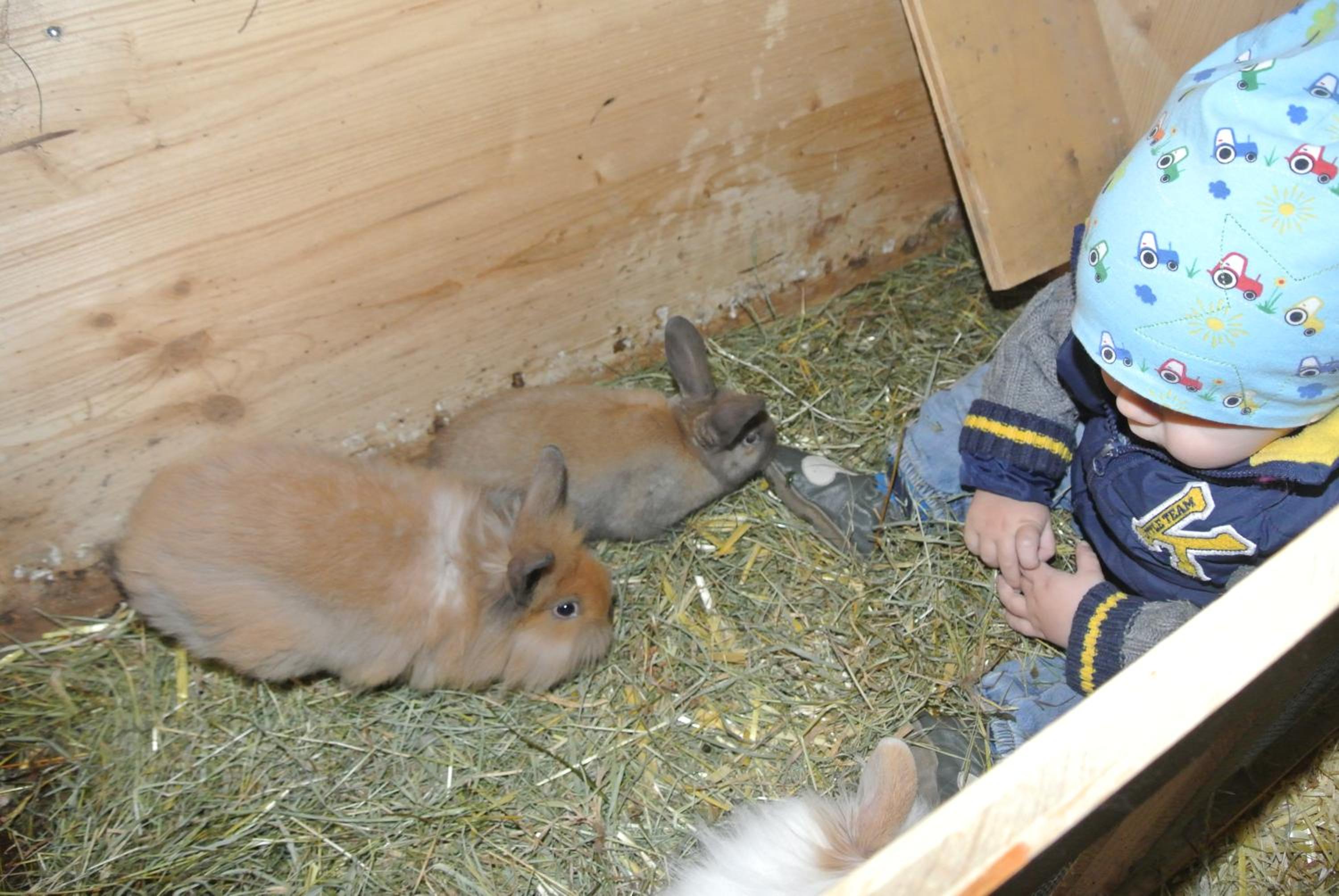 Photo 30