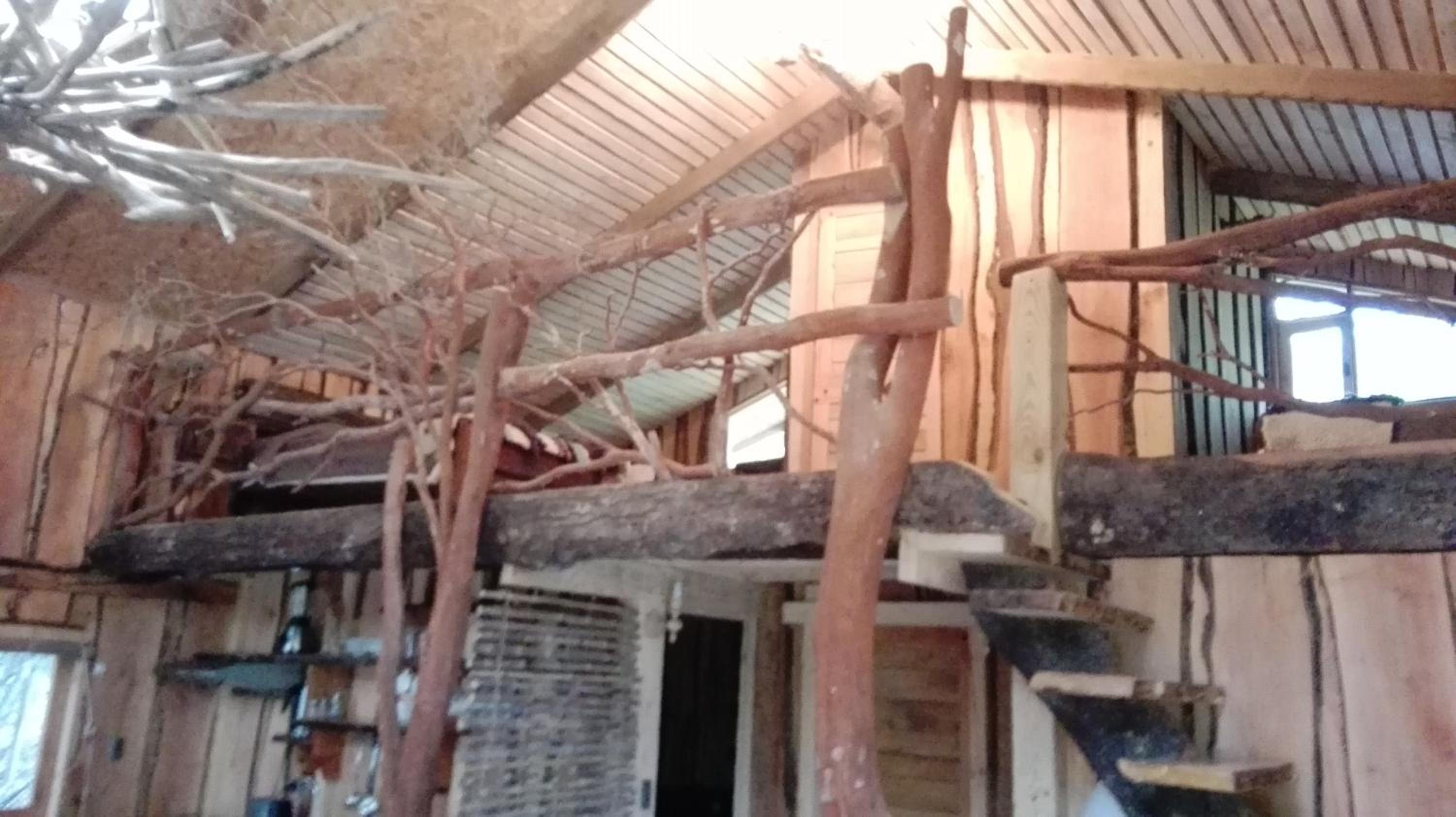 Photo 139