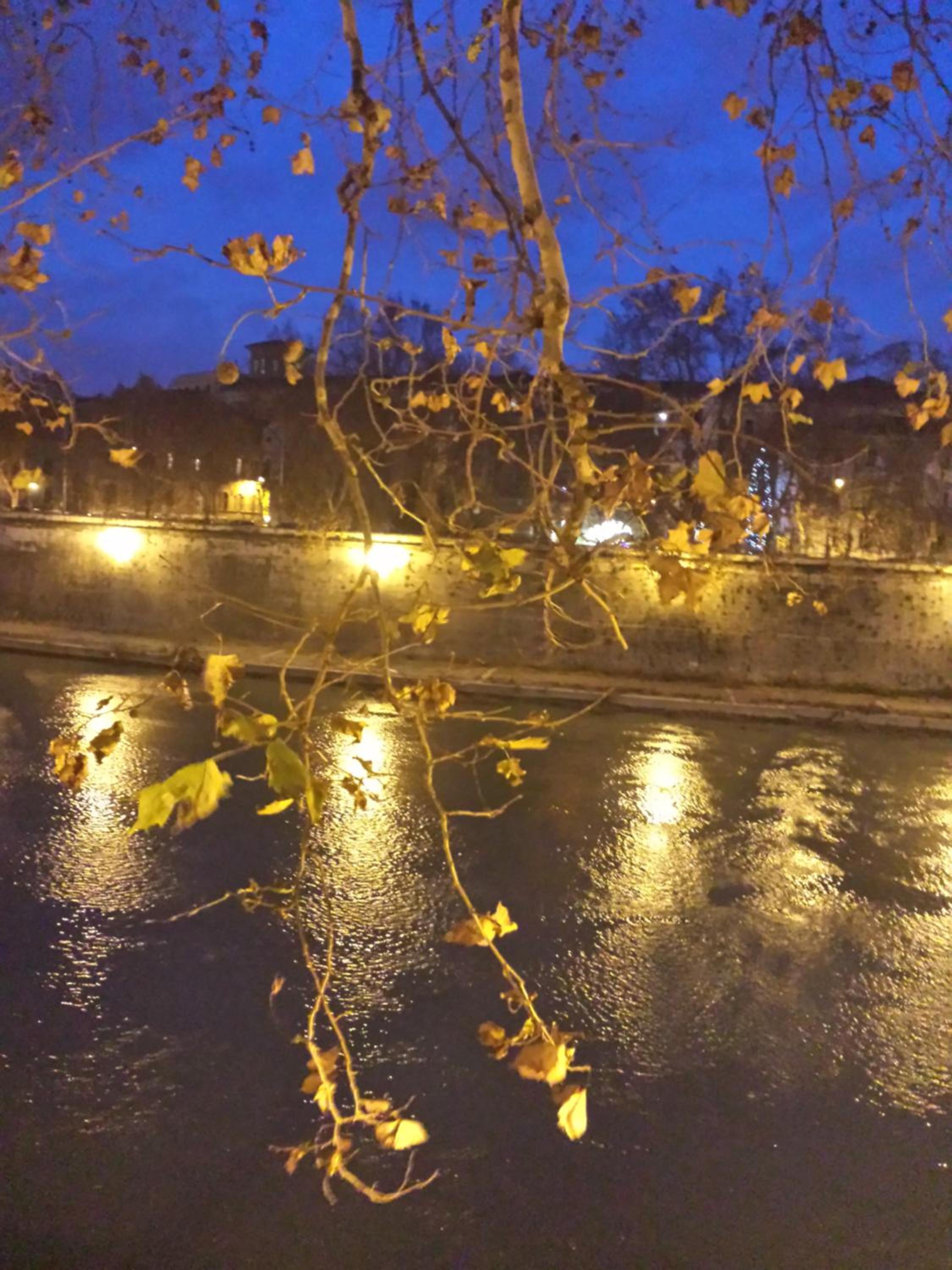Trastevere Stars